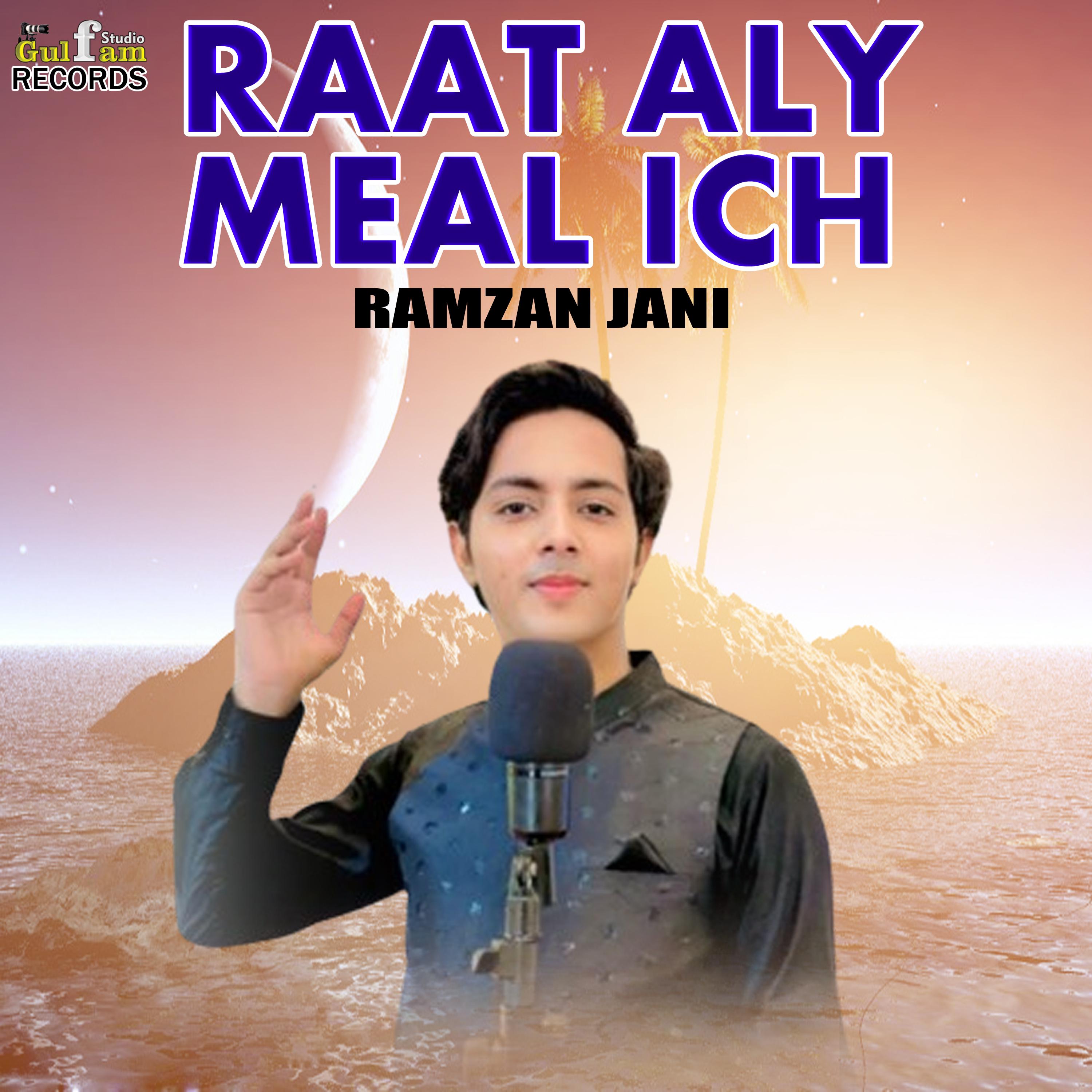 Постер альбома Raat Aly Meal Ich