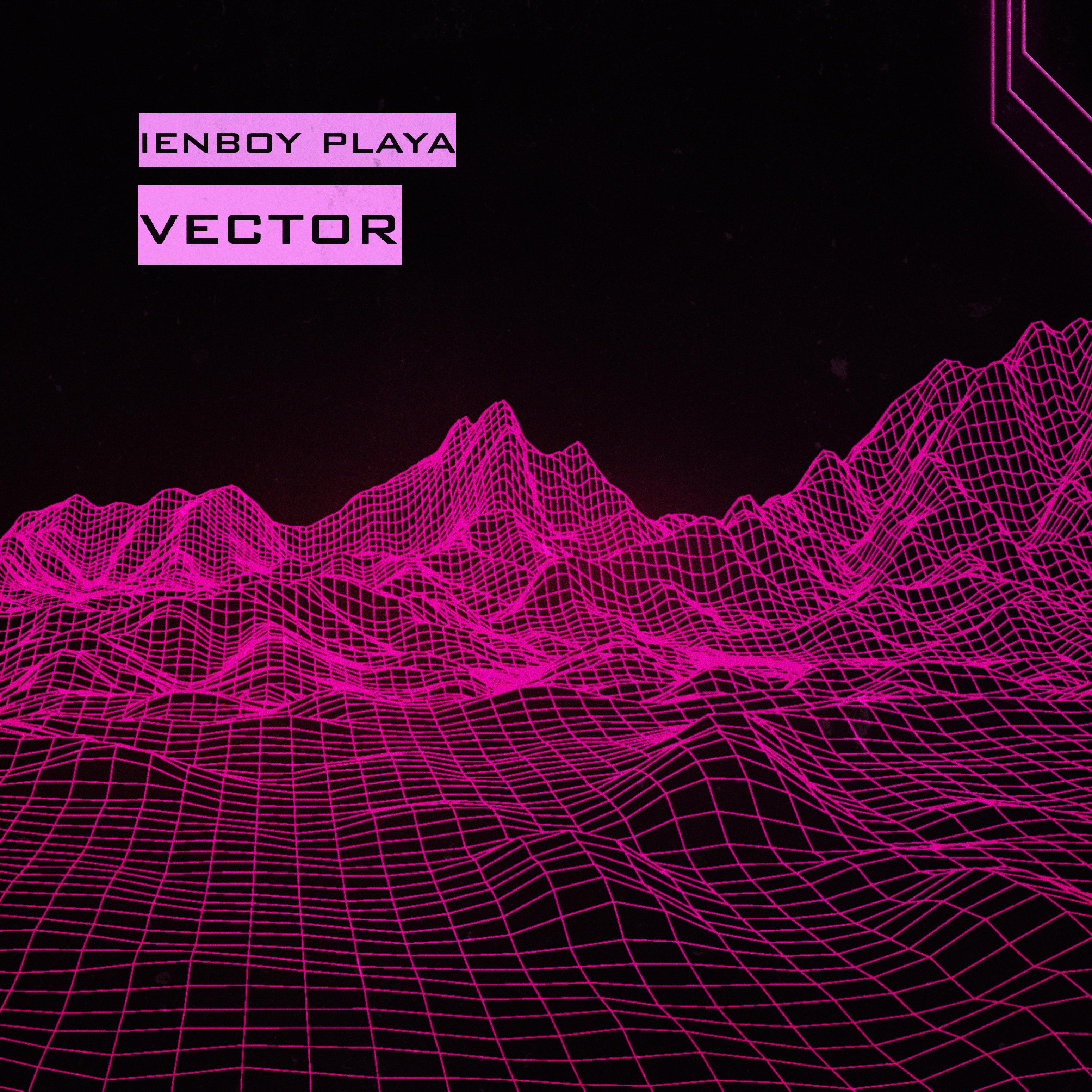 Постер альбома Vector