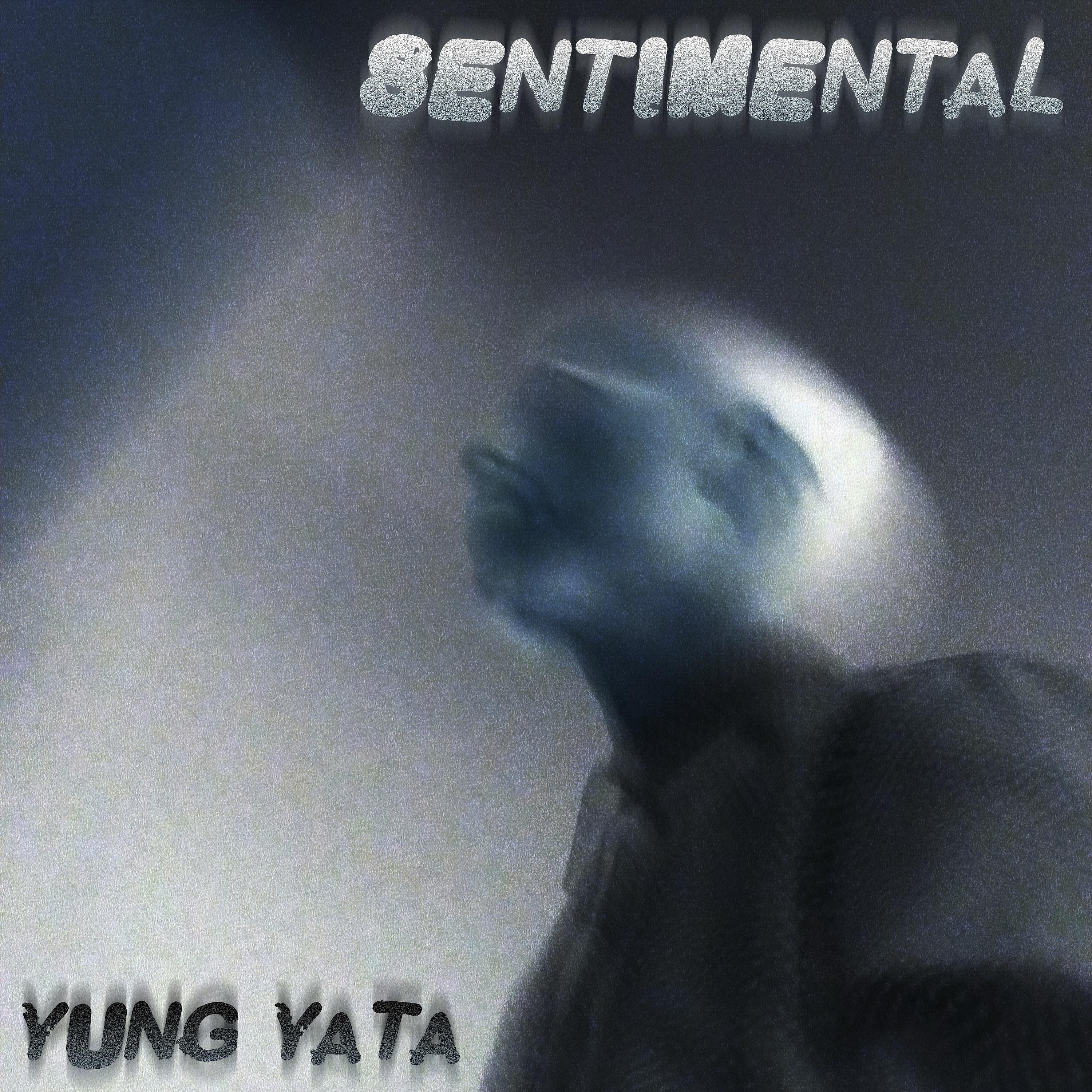 Постер альбома Sentimental
