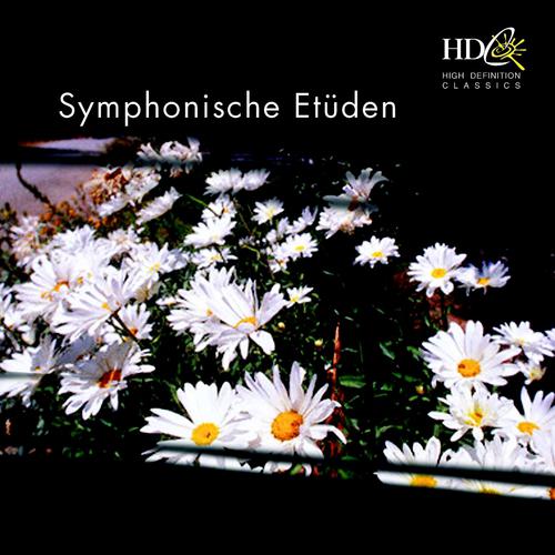 Постер альбома Symphonische Etüdes
