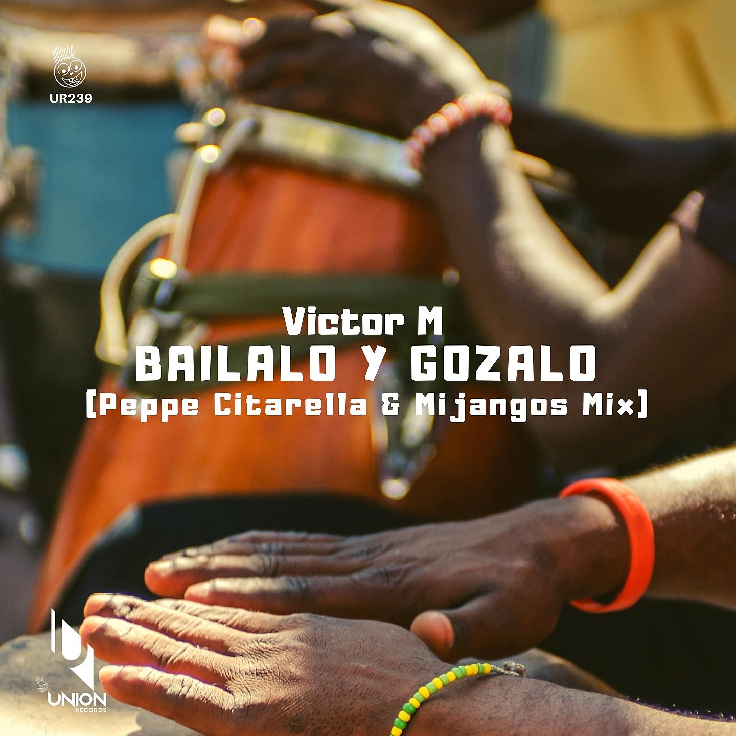 Постер альбома Bailalo Y Gozalo