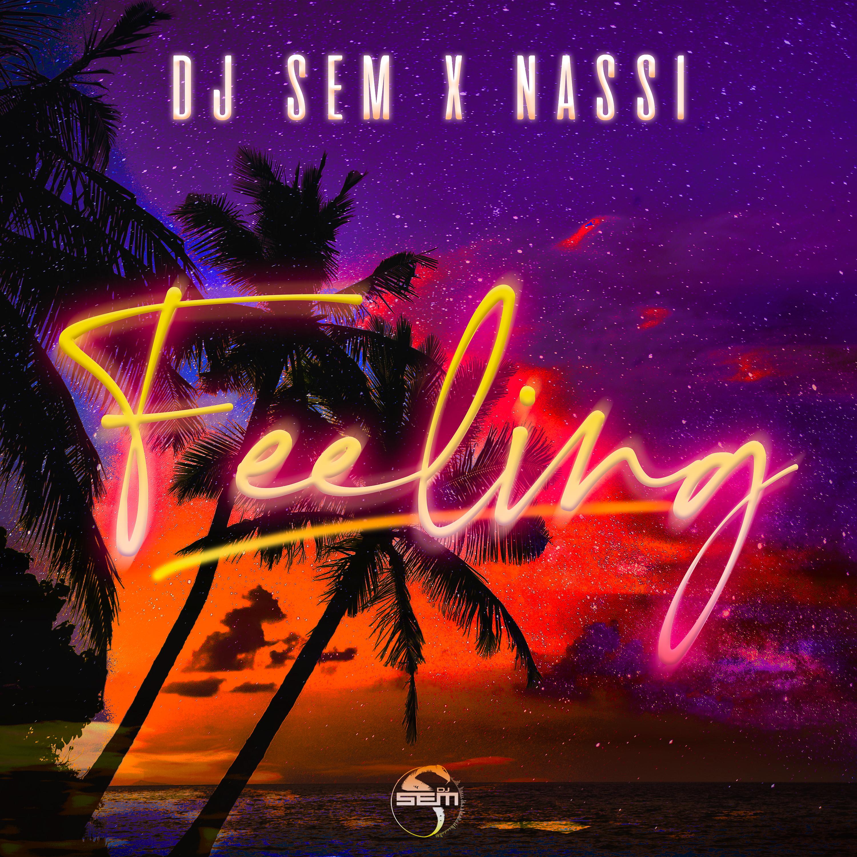Постер альбома DJ Sem - Feeling ft. Nassi (Original)
