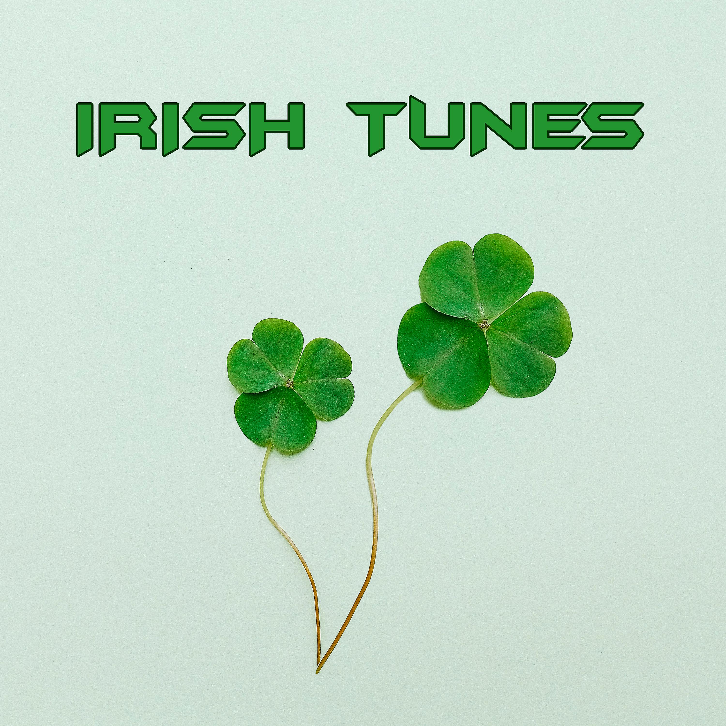 Постер альбома Irish Tunes