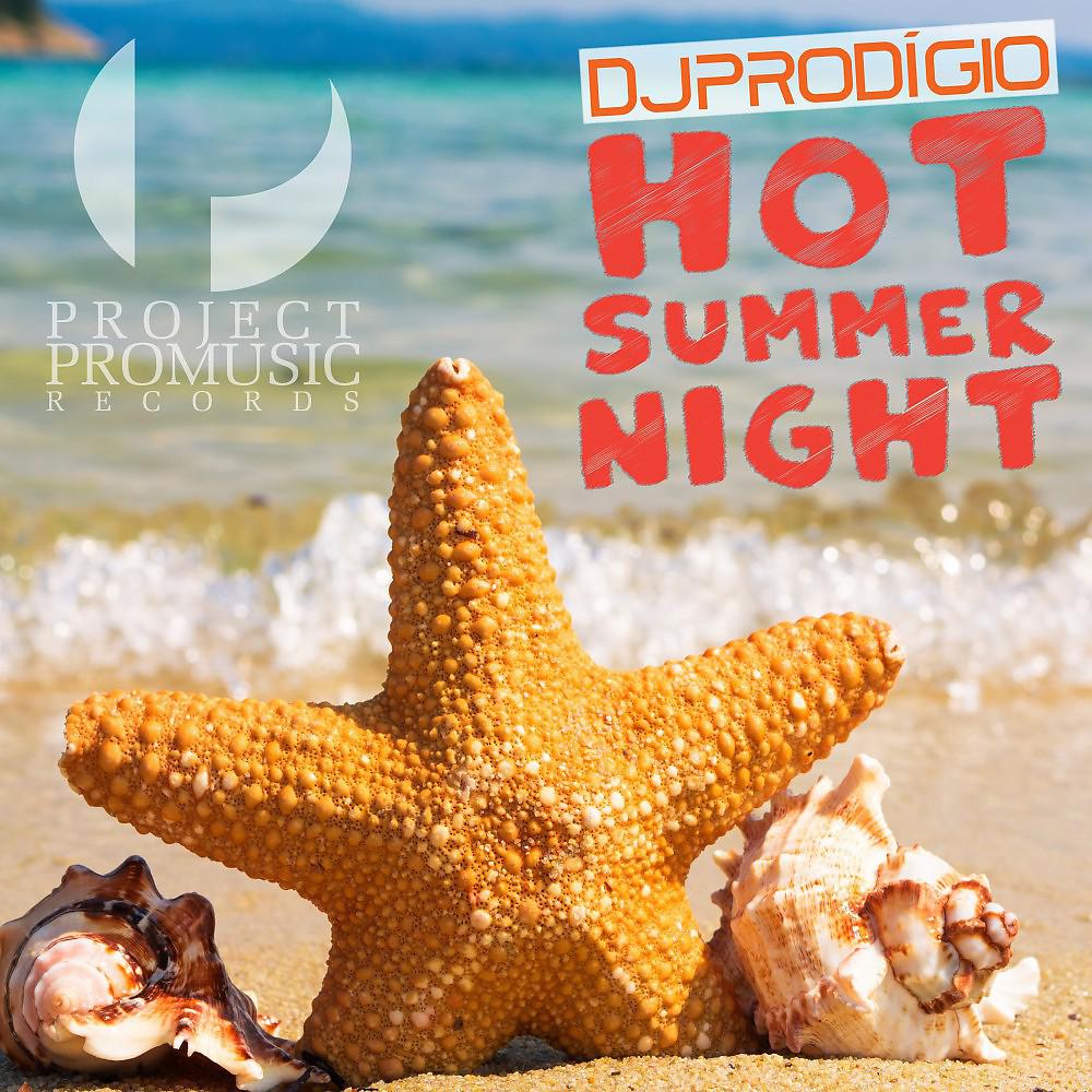 Постер альбома Hot Summer Night