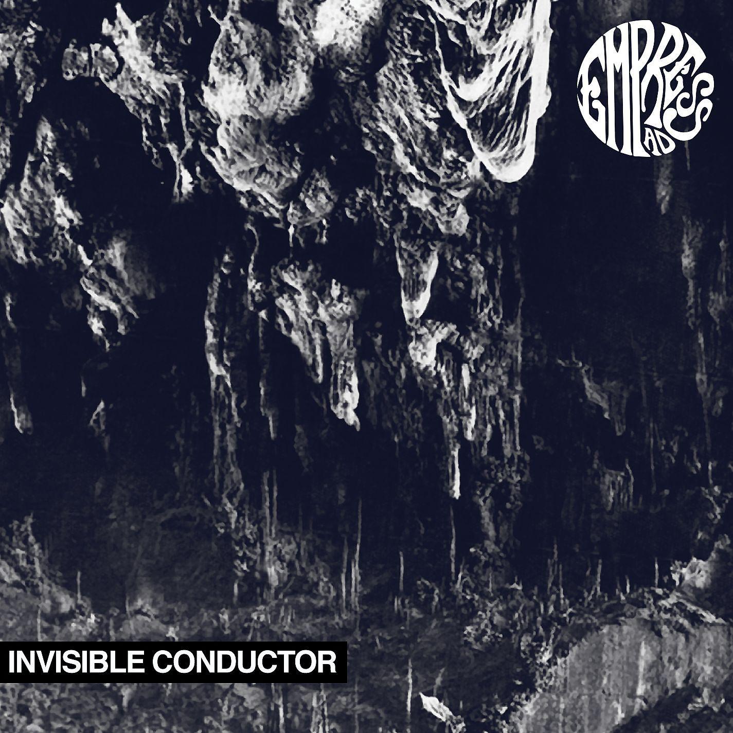 Постер альбома Invisible Conductor