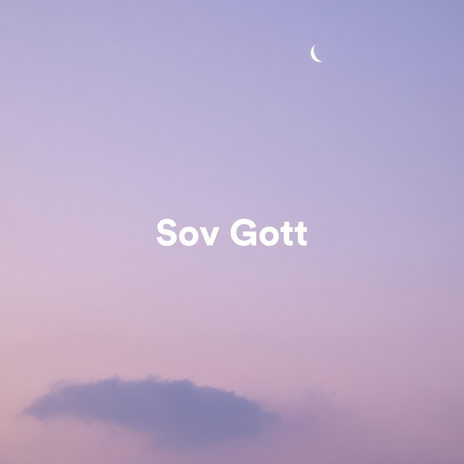 Постер альбома Sov Gott
