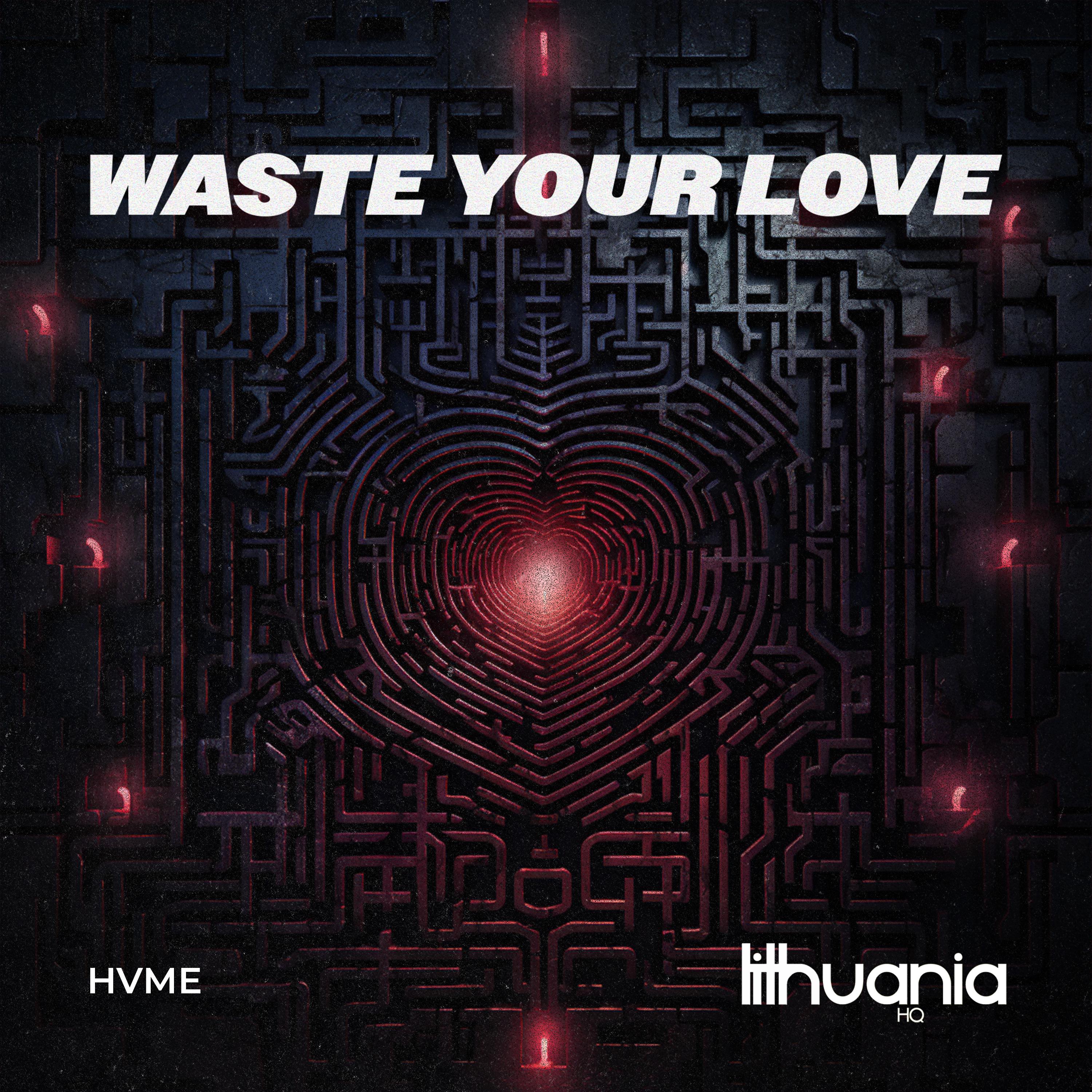 Постер альбома Waste Your Love