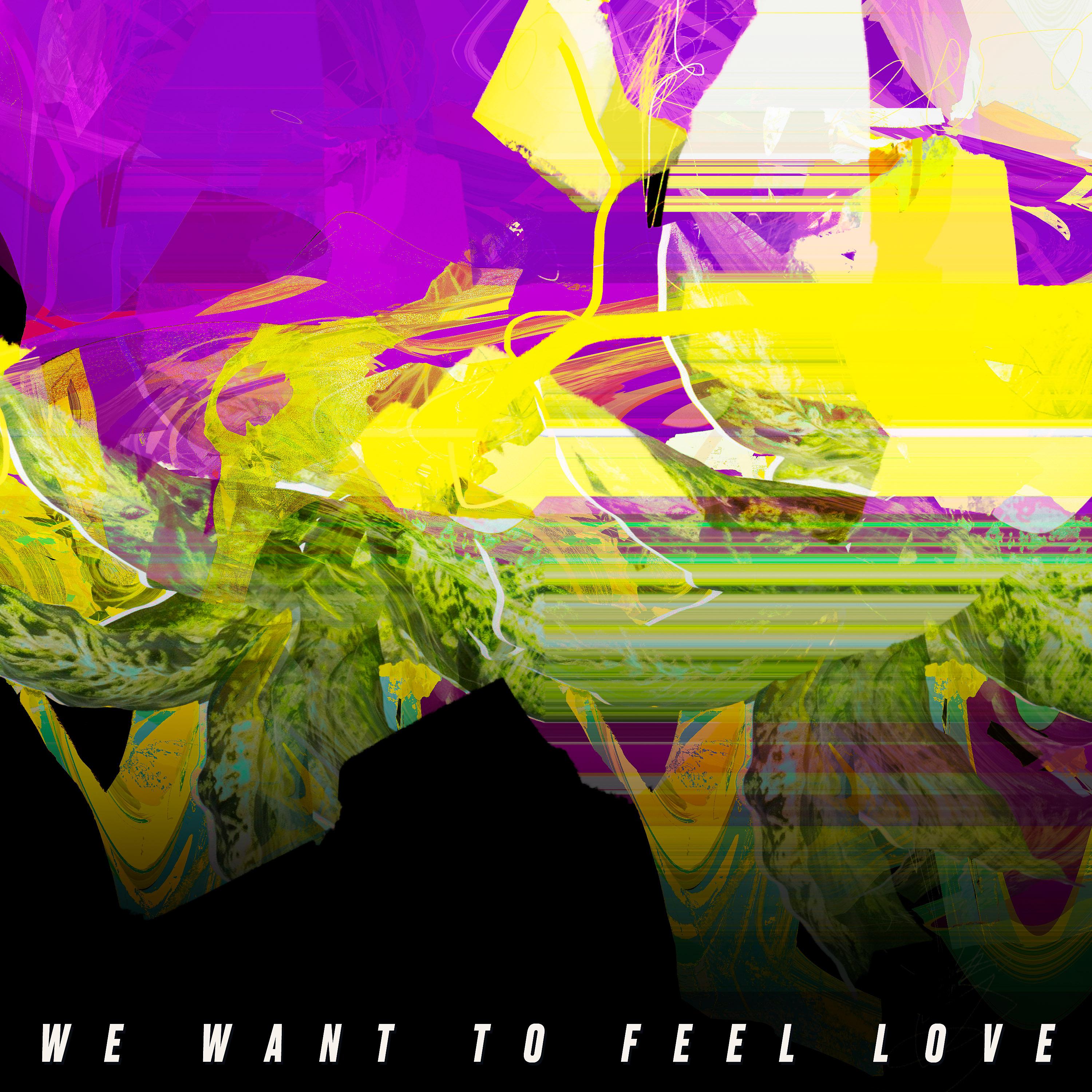 Постер альбома We Want to Feel Love
