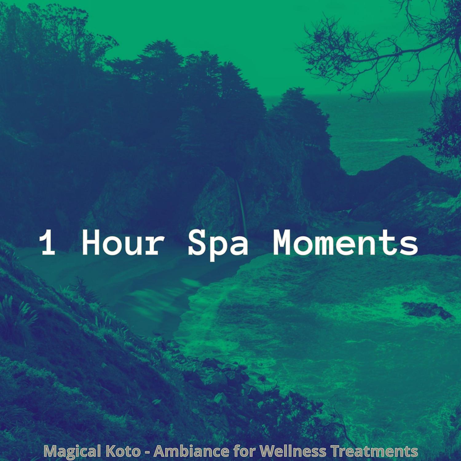 Постер альбома Magical Koto - Ambiance for Wellness Treatments