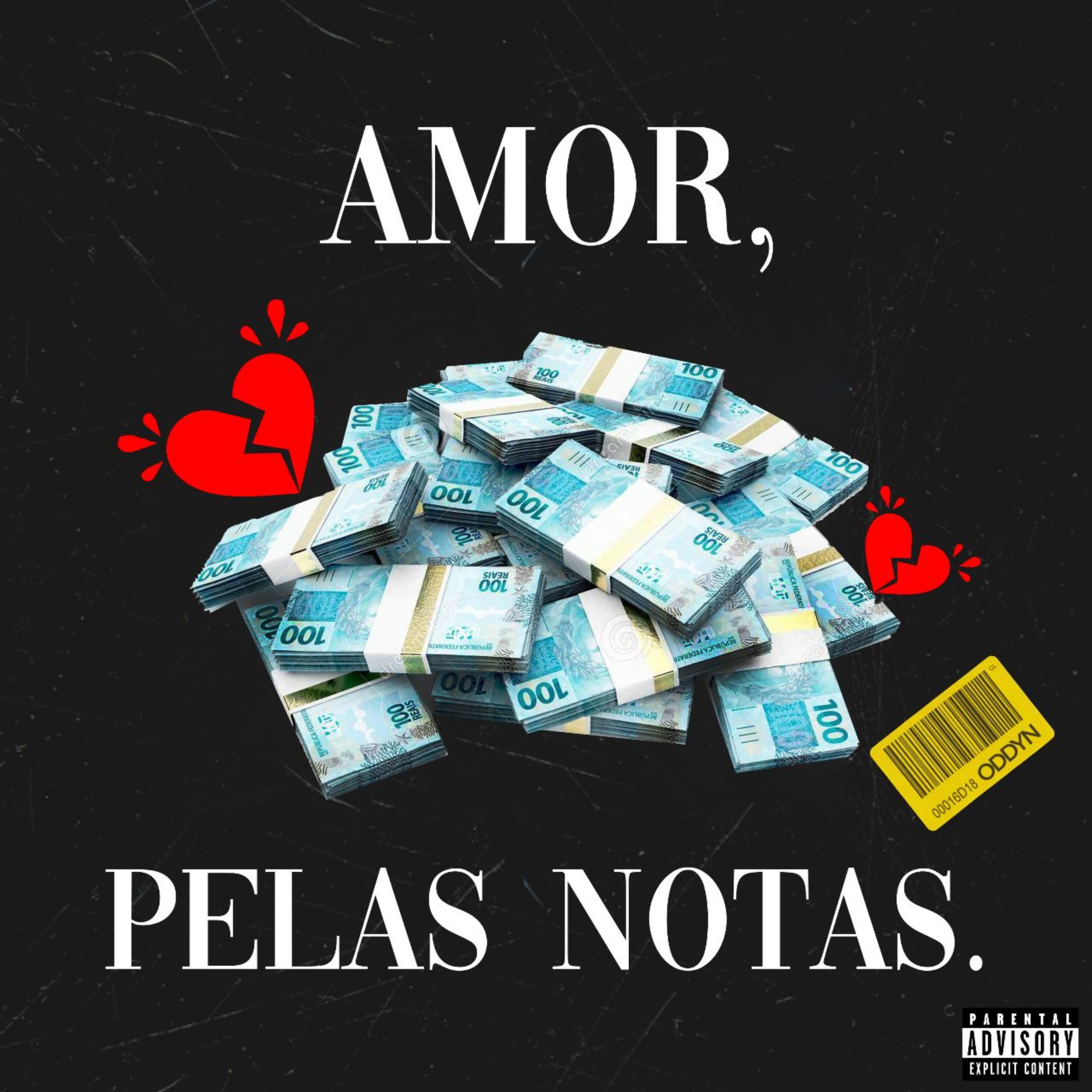 Постер альбома Amor, pelas Notas