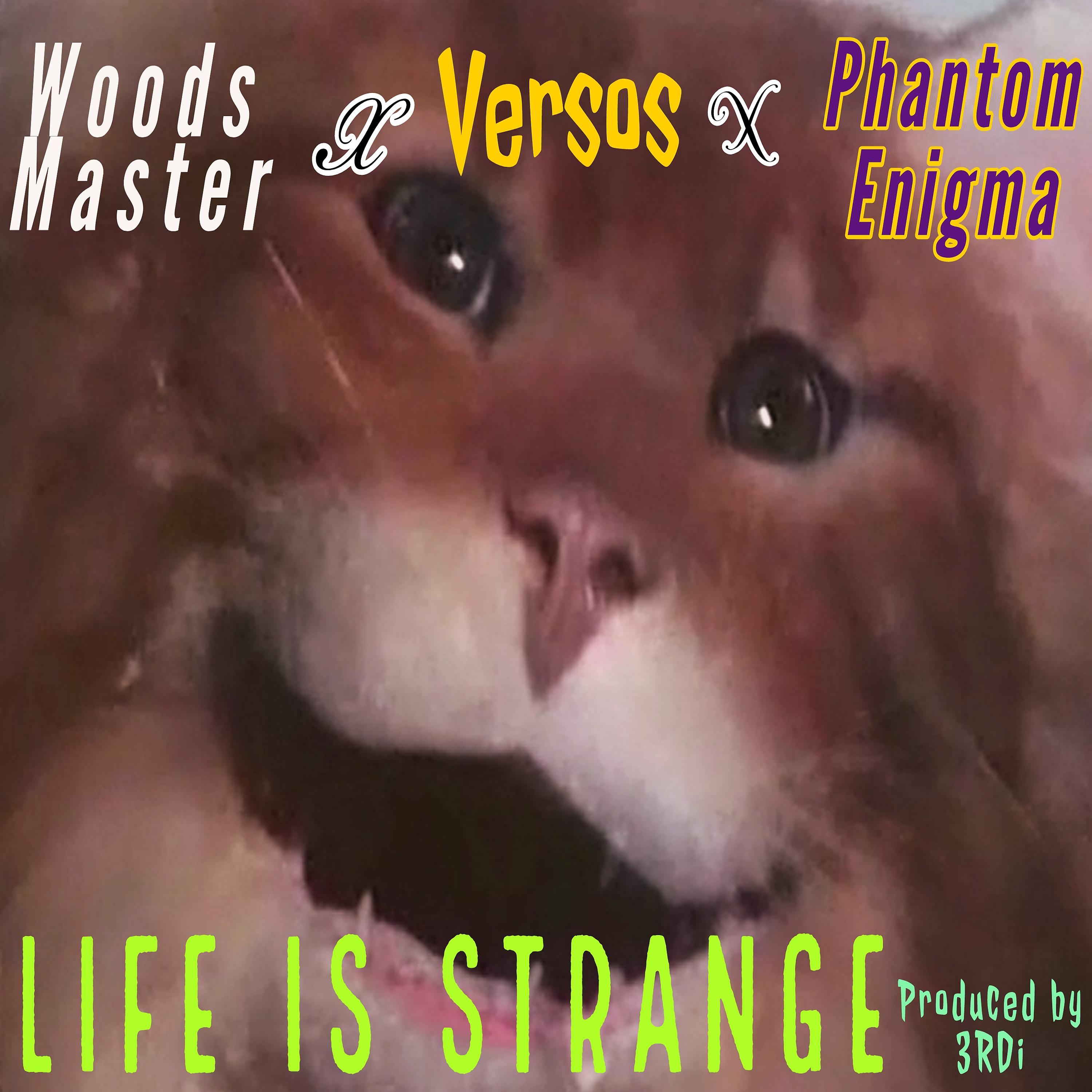 Постер альбома Life is Strange