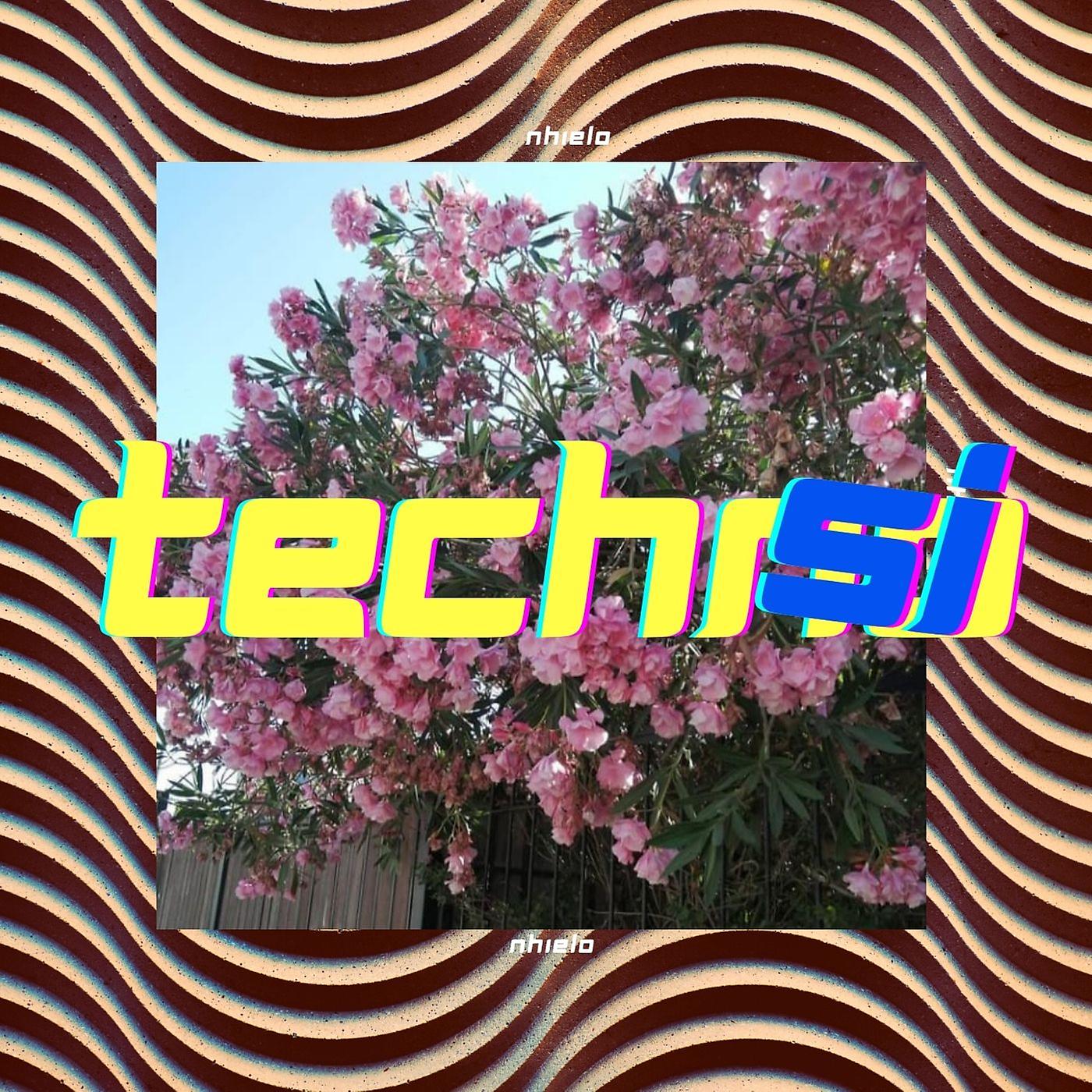 Постер альбома Techsi
