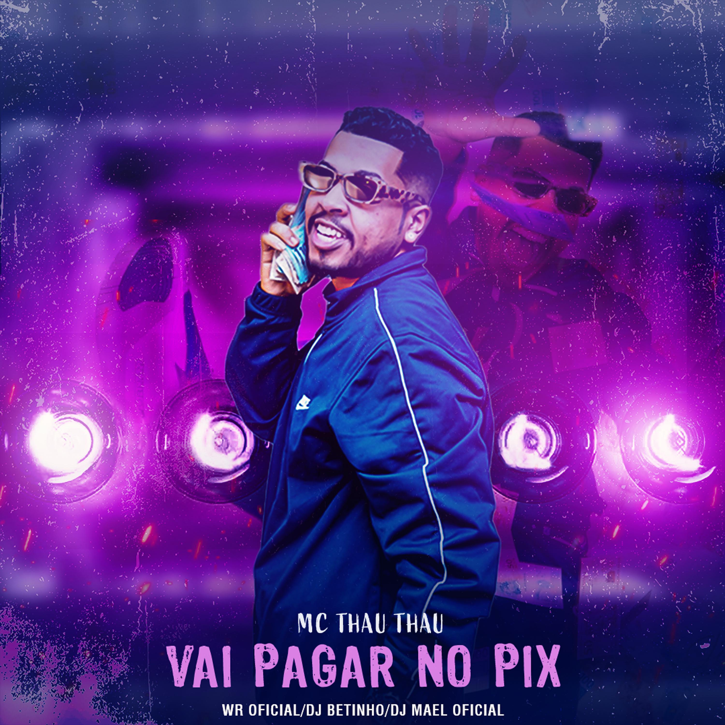 Постер альбома Vai Pagar no Pix