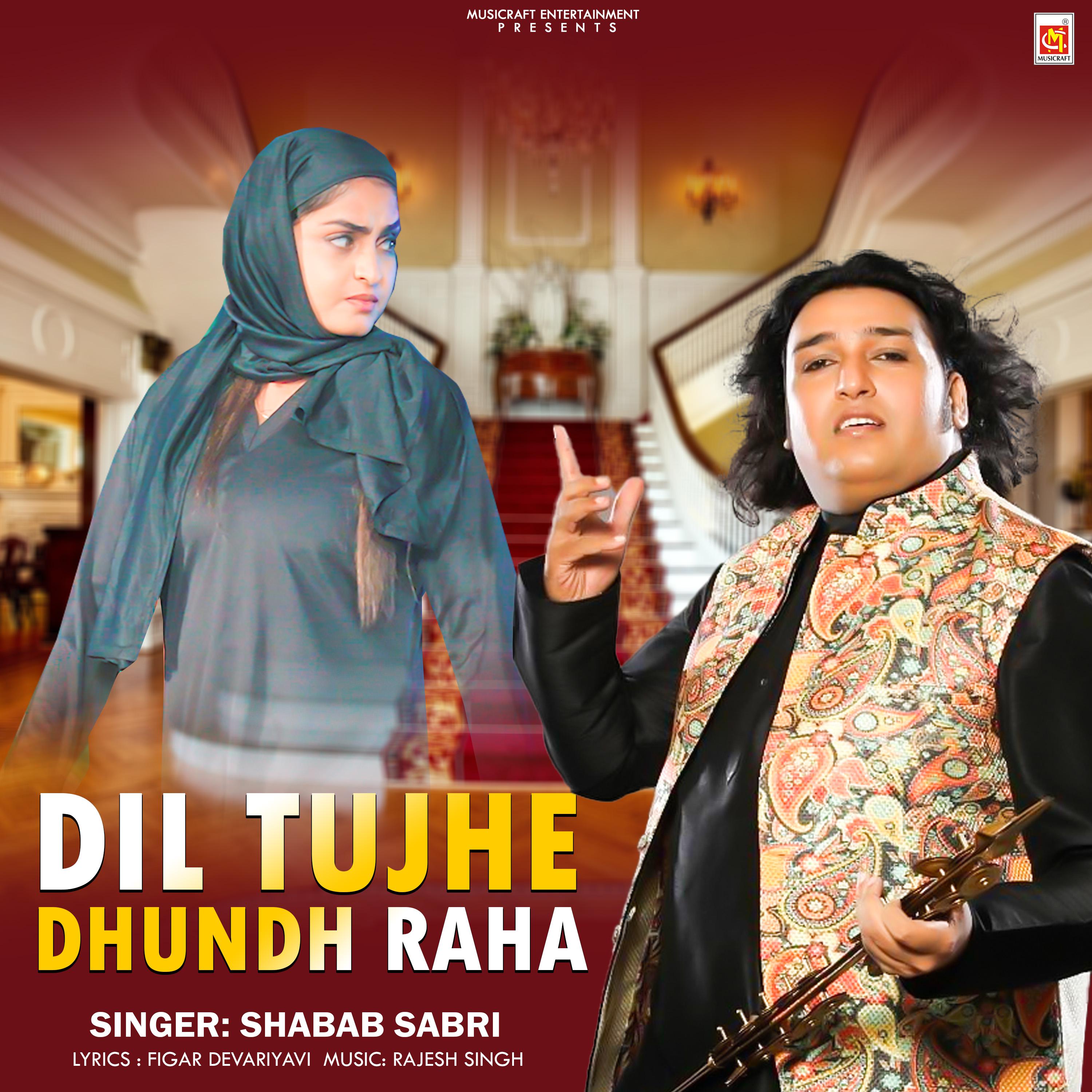 Постер альбома Dil Tujhe Dhundh Raha