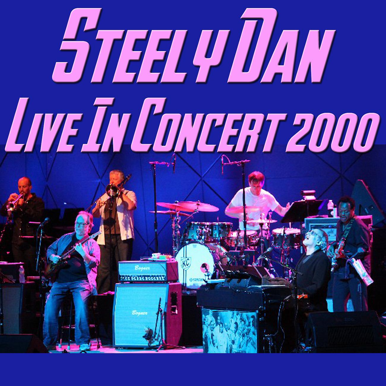 Постер альбома Steely Dan Live in Concert 2000