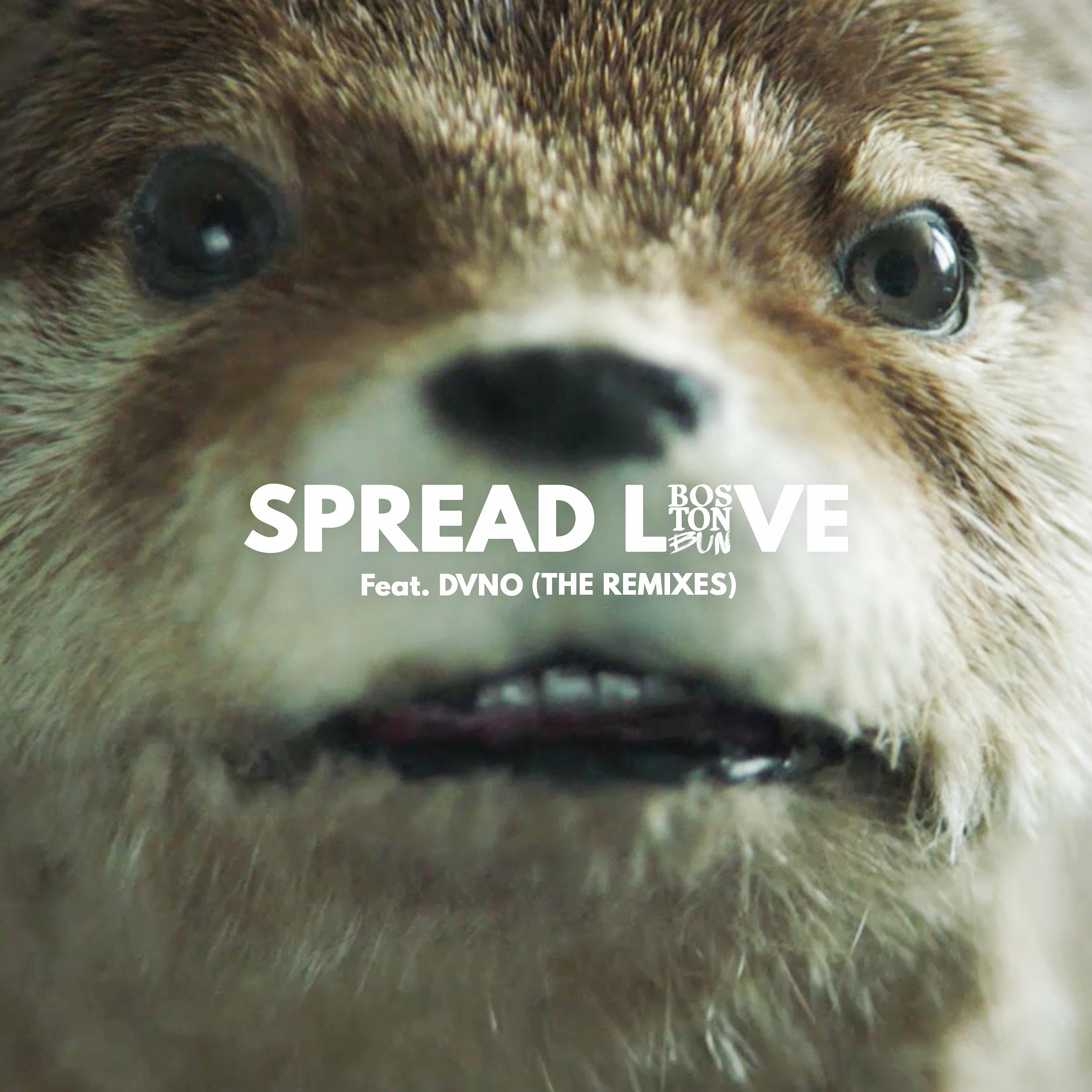 Постер альбома Spread Love (Paddington) [feat. DVNO] [The Remixes]