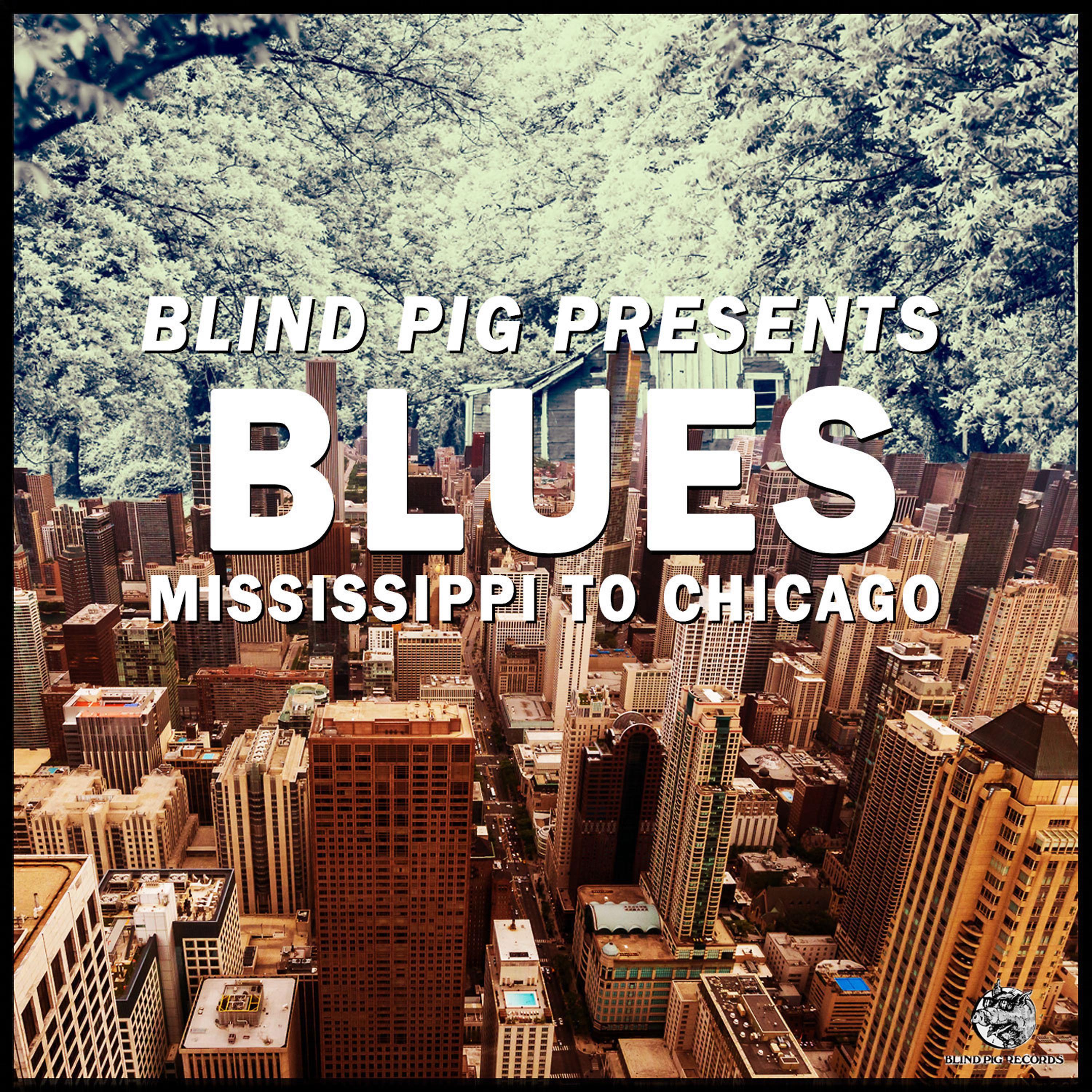 Постер альбома Blind Pig Presents: Mississippi to Chicago Blues