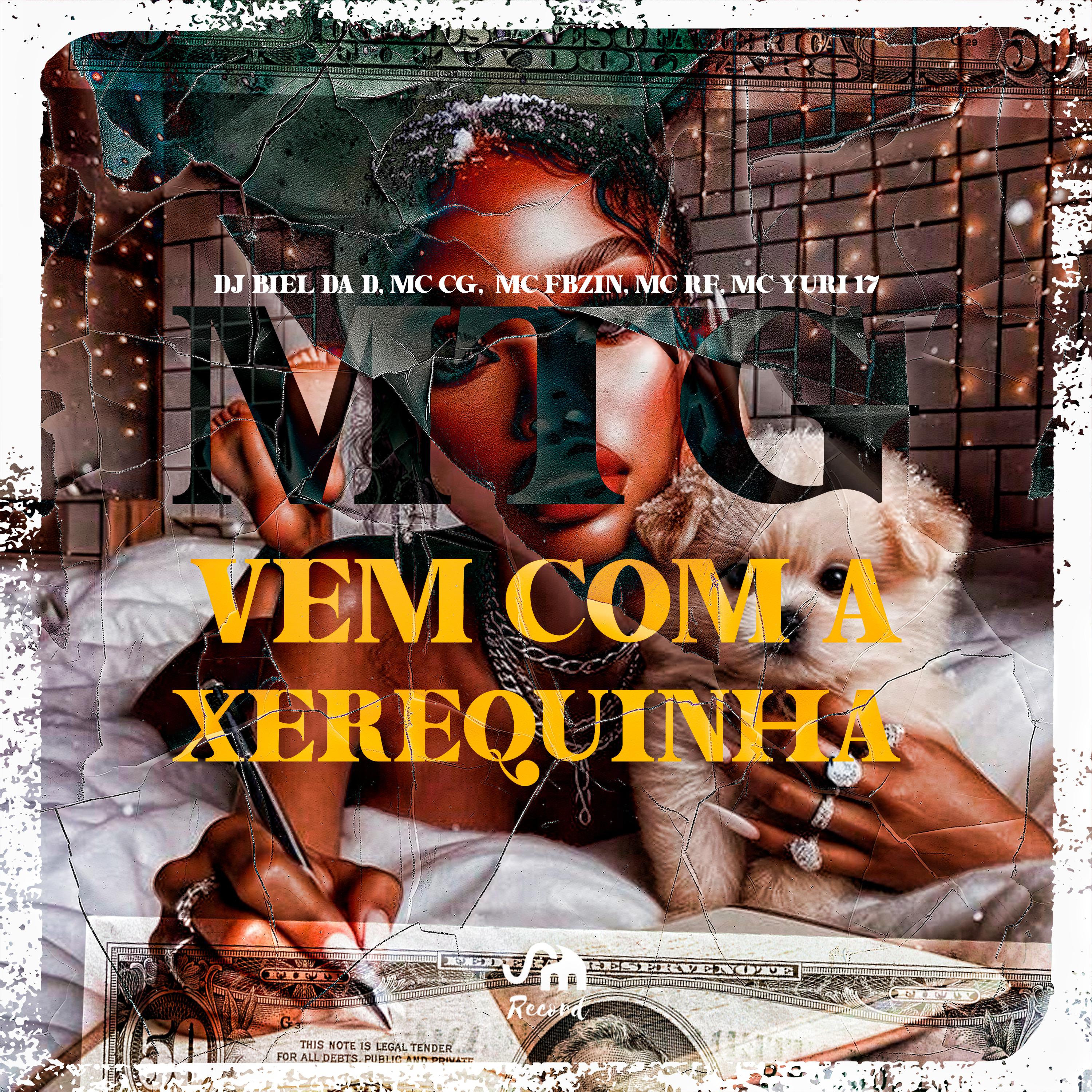Постер альбома Vem Com a Xerequinha