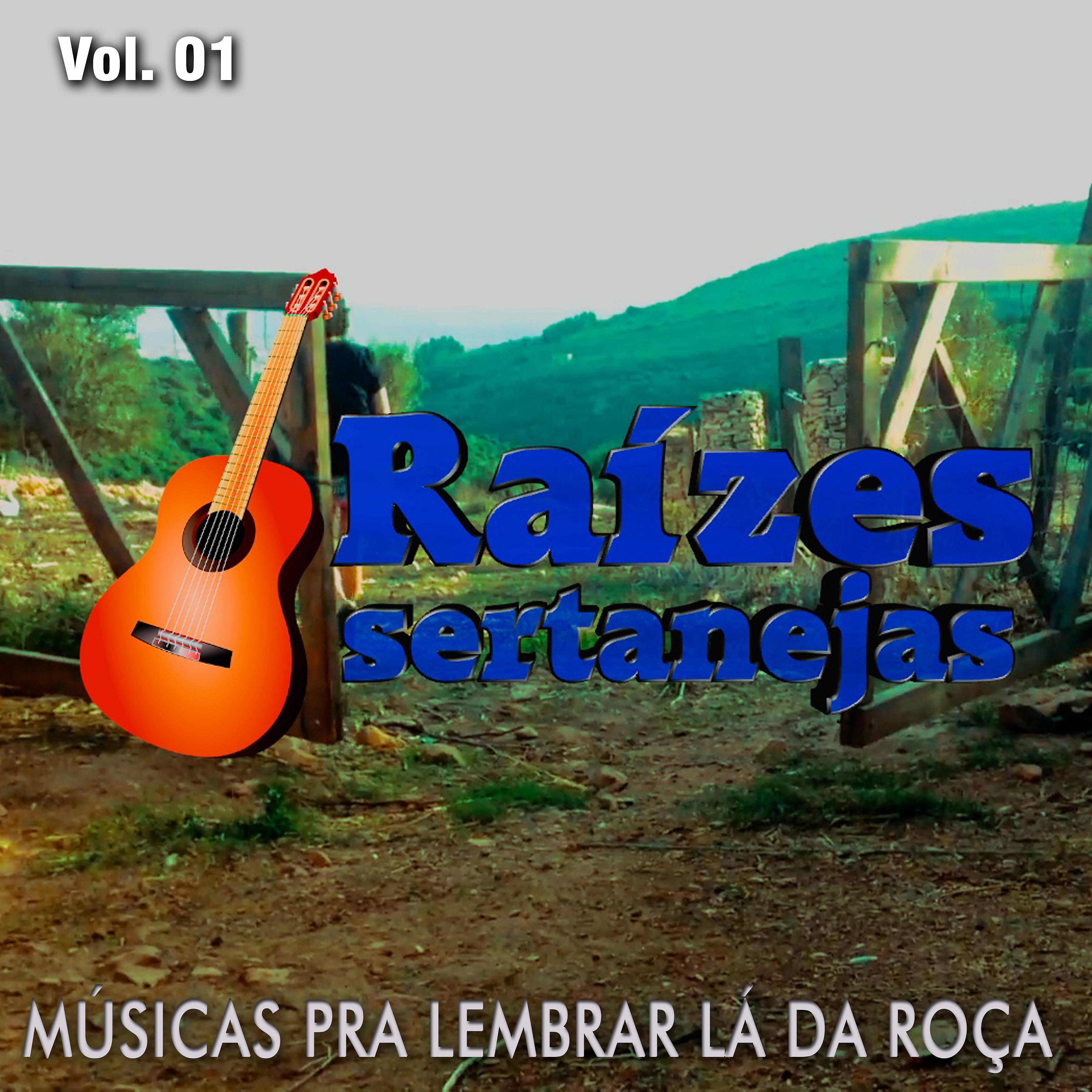 Постер альбома Raízes Sertanejas, Vol. 01  Musicas pra Lembrar Lá da Roça
