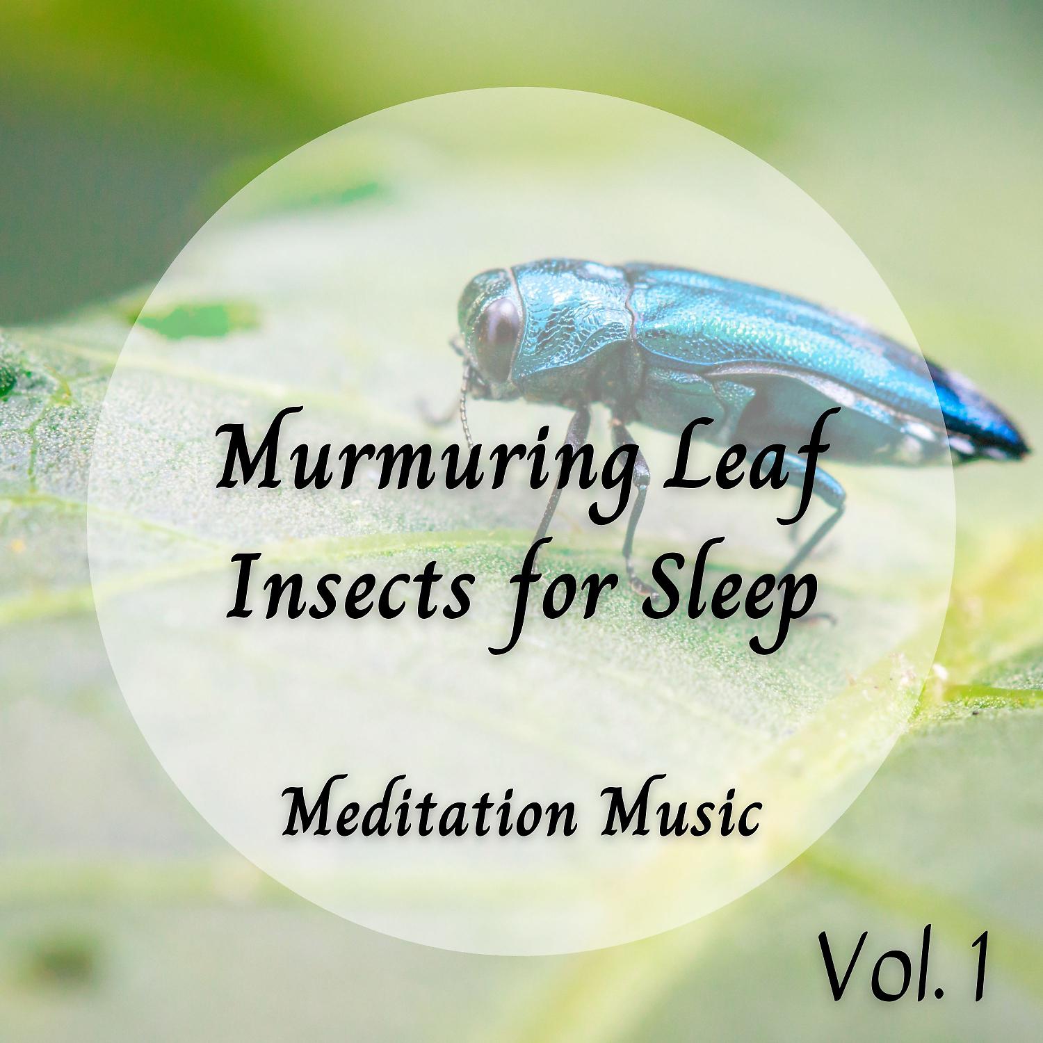 Постер альбома Meditation Music: Murmuring Leaf Insects for Sleep Vol. 1