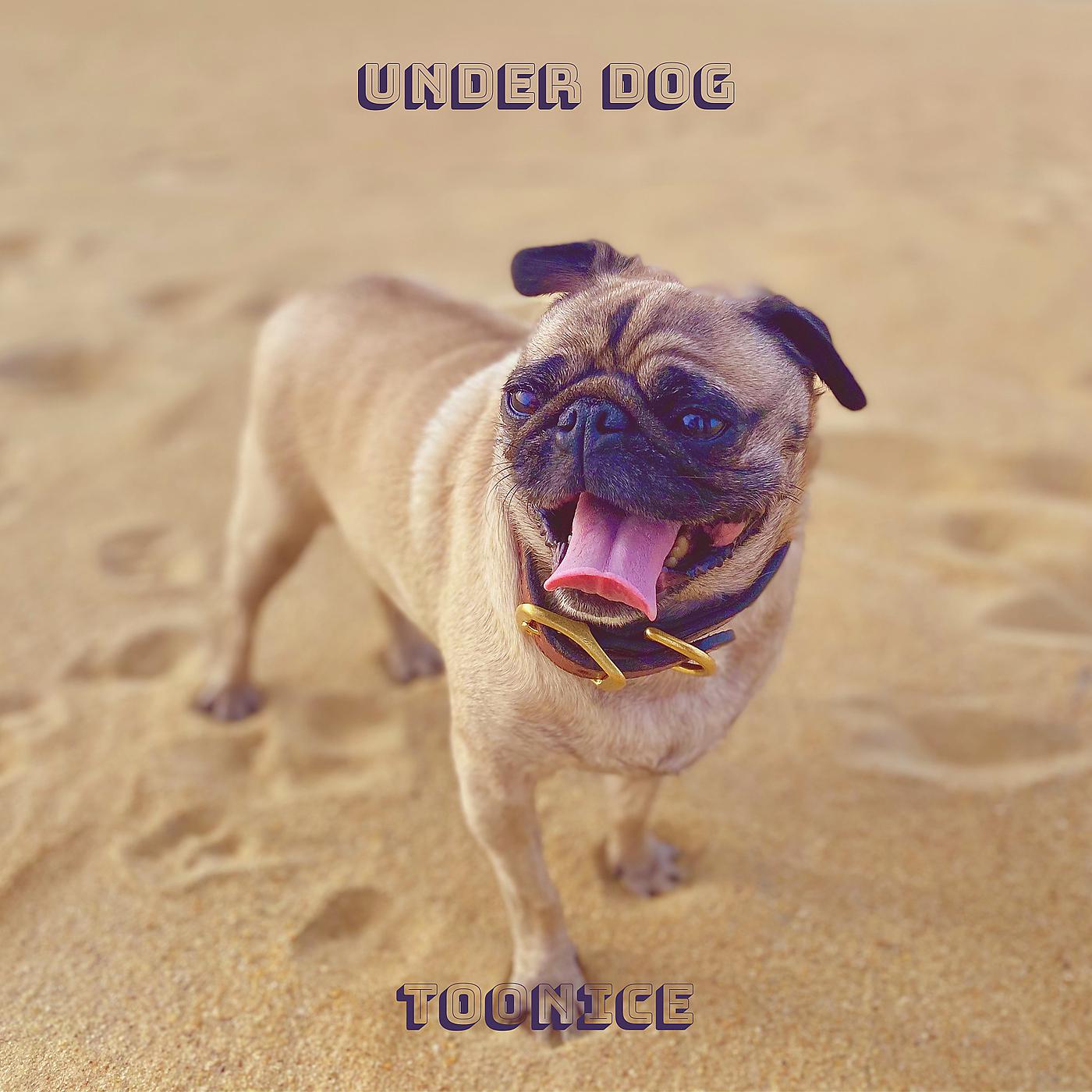 Постер альбома Under Dog