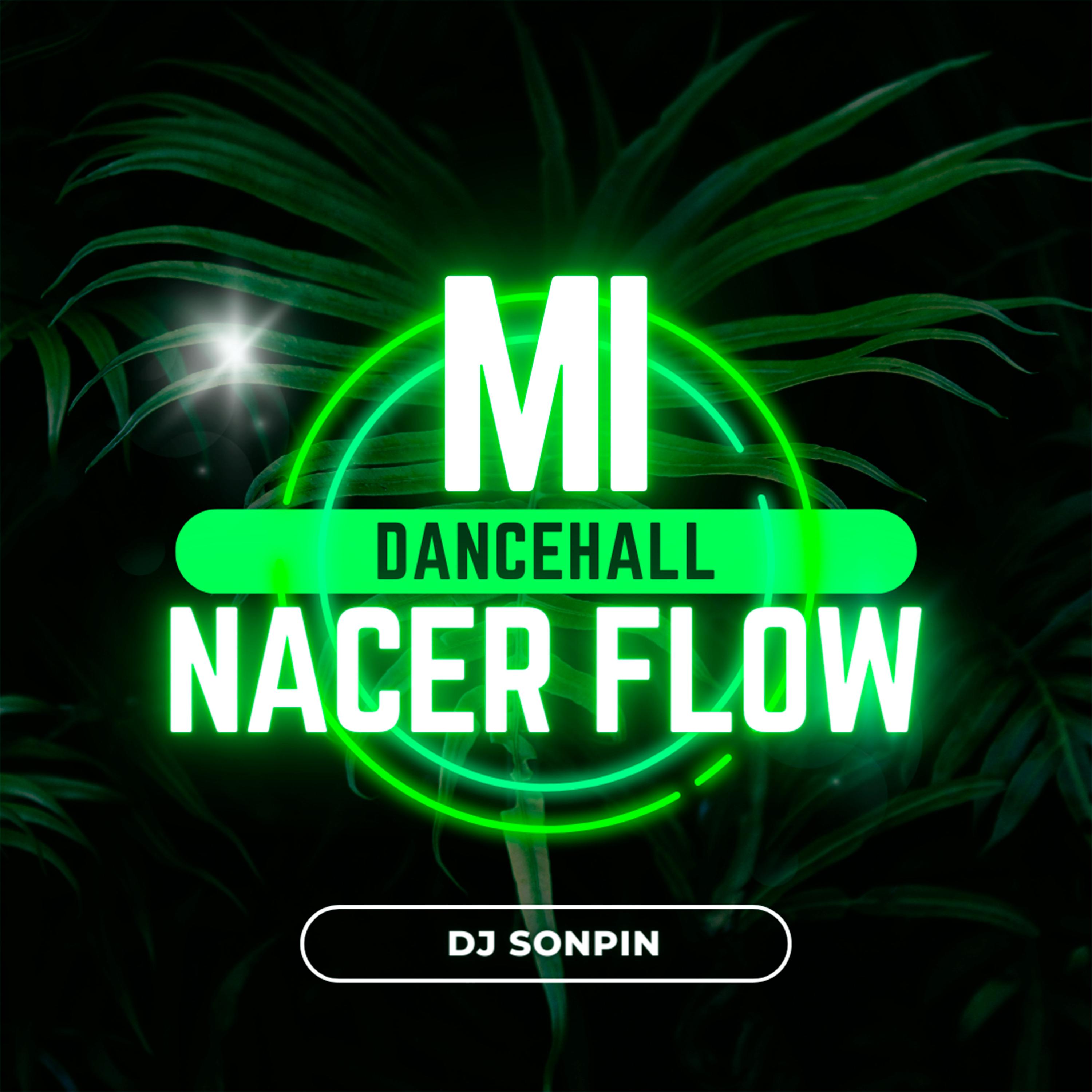 Постер альбома Mi Dancehall Nacer Flow