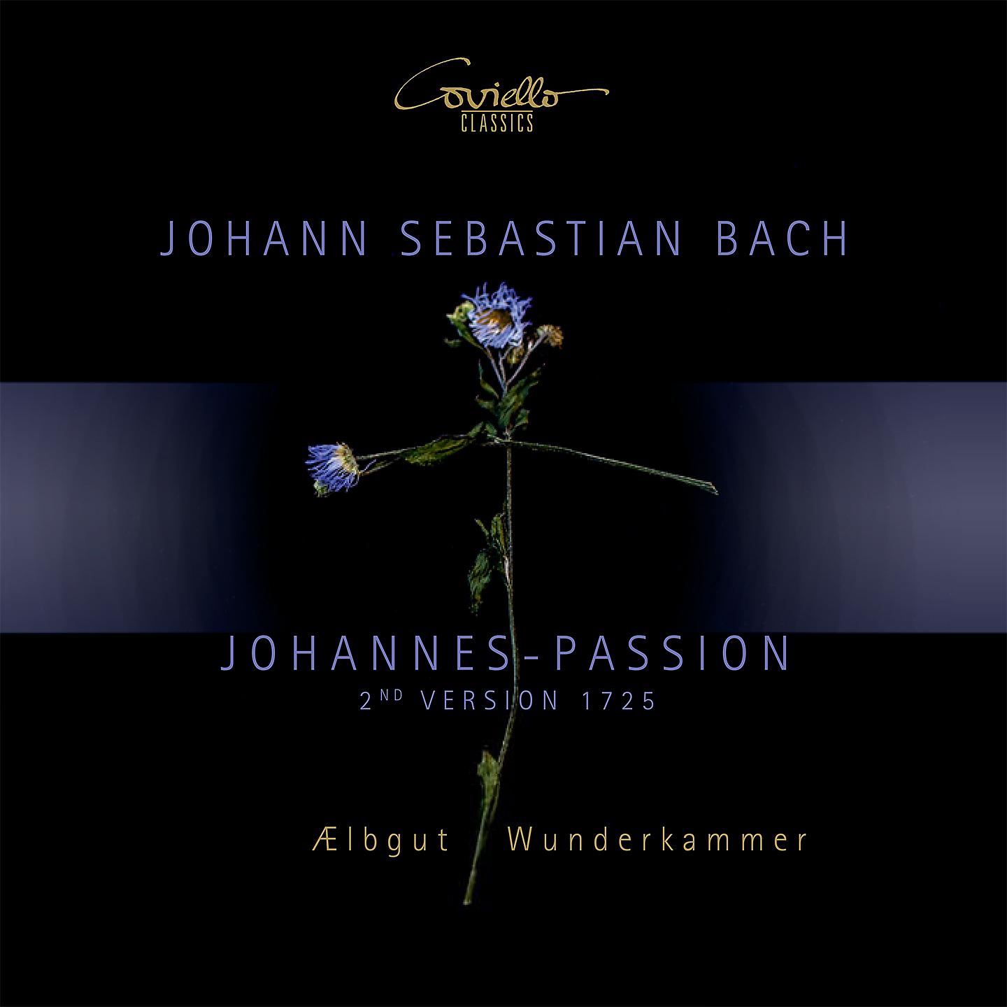 Постер альбома Johannespassion