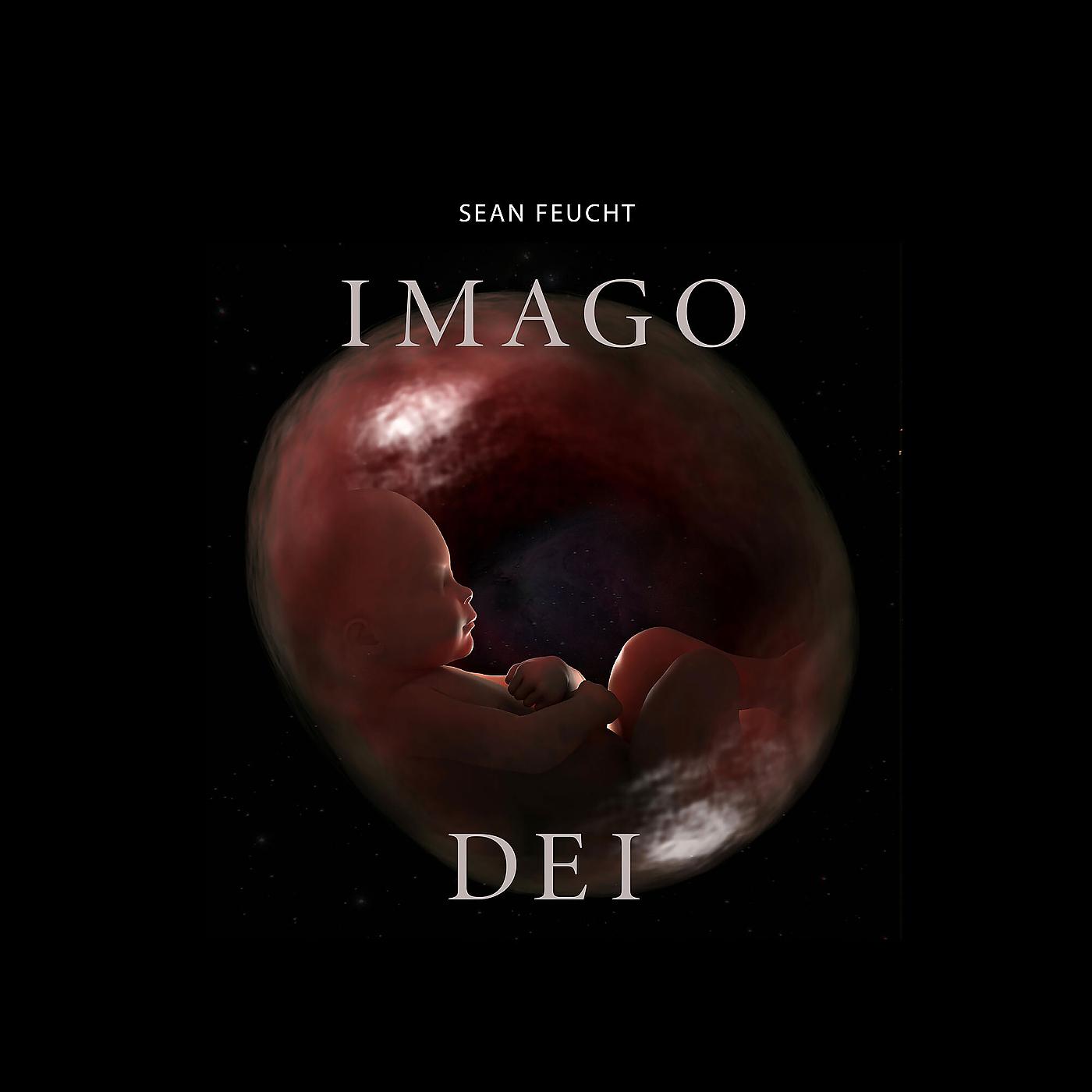 Постер альбома Imago Dei