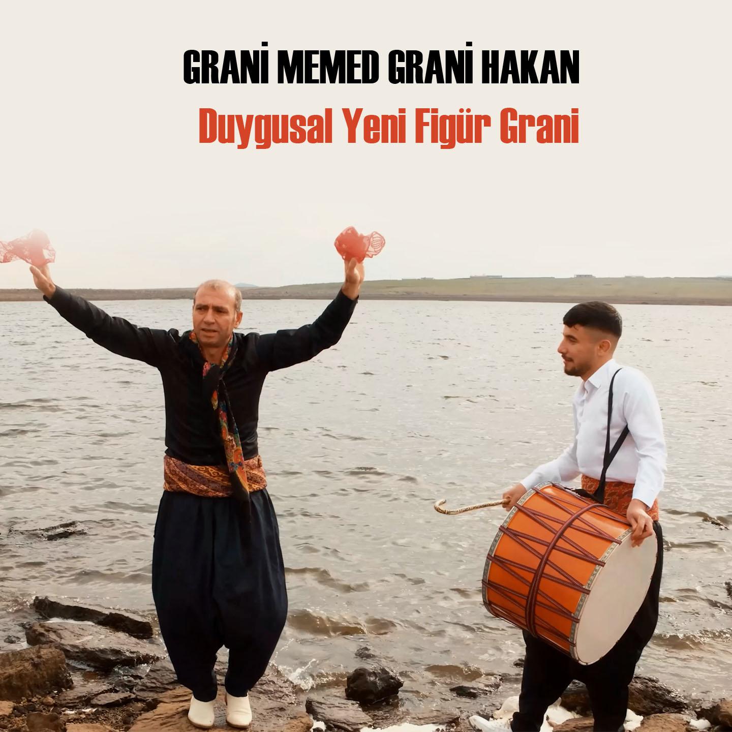 Постер альбома Duygusal Yeni Figür Grani