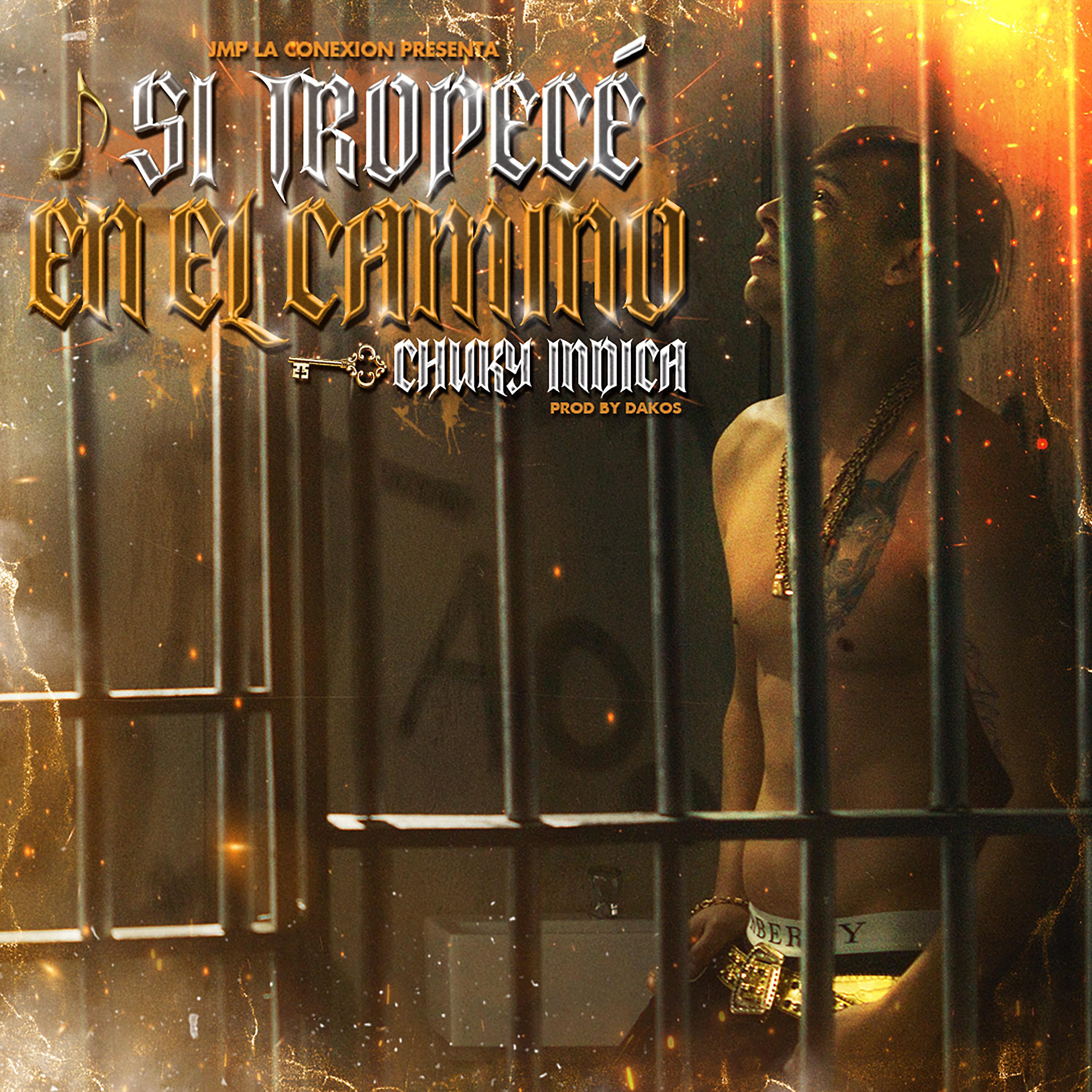 Постер альбома Si Tropecé en el Camino