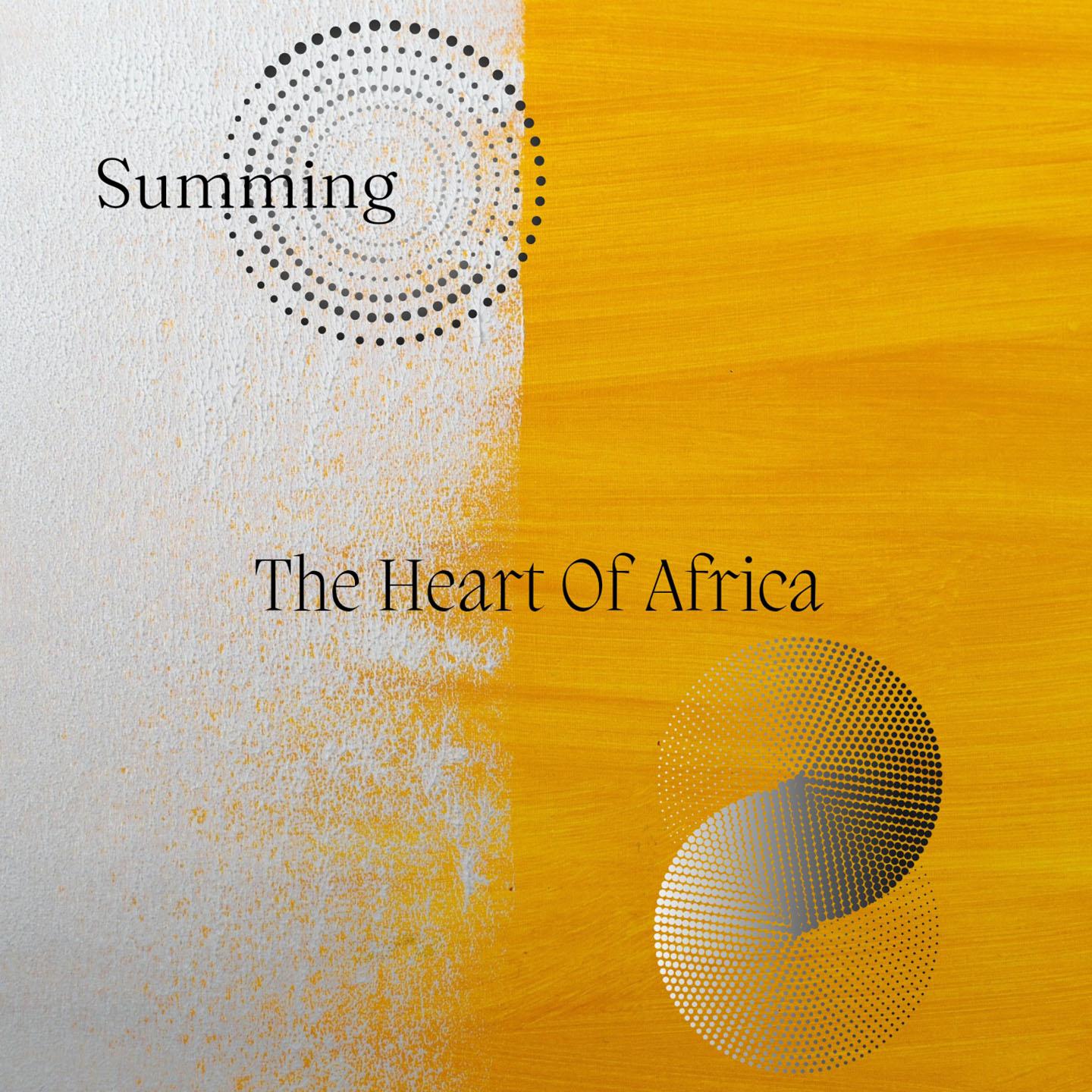 Постер альбома The Heart Of Africa