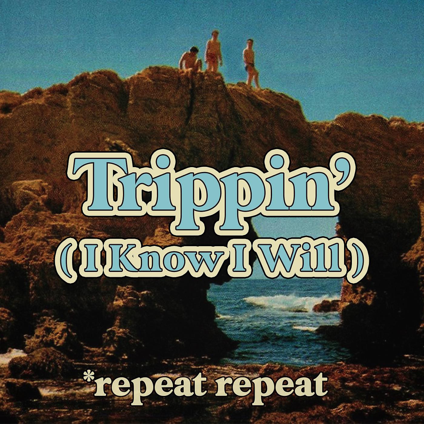 Постер альбома Trippin' (i Know I Will)