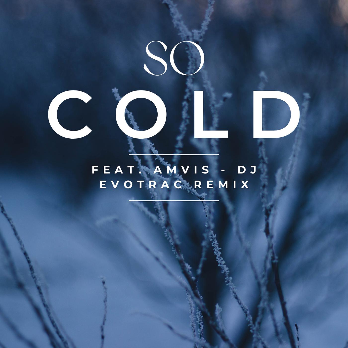 Постер альбома So Cold (Remix)