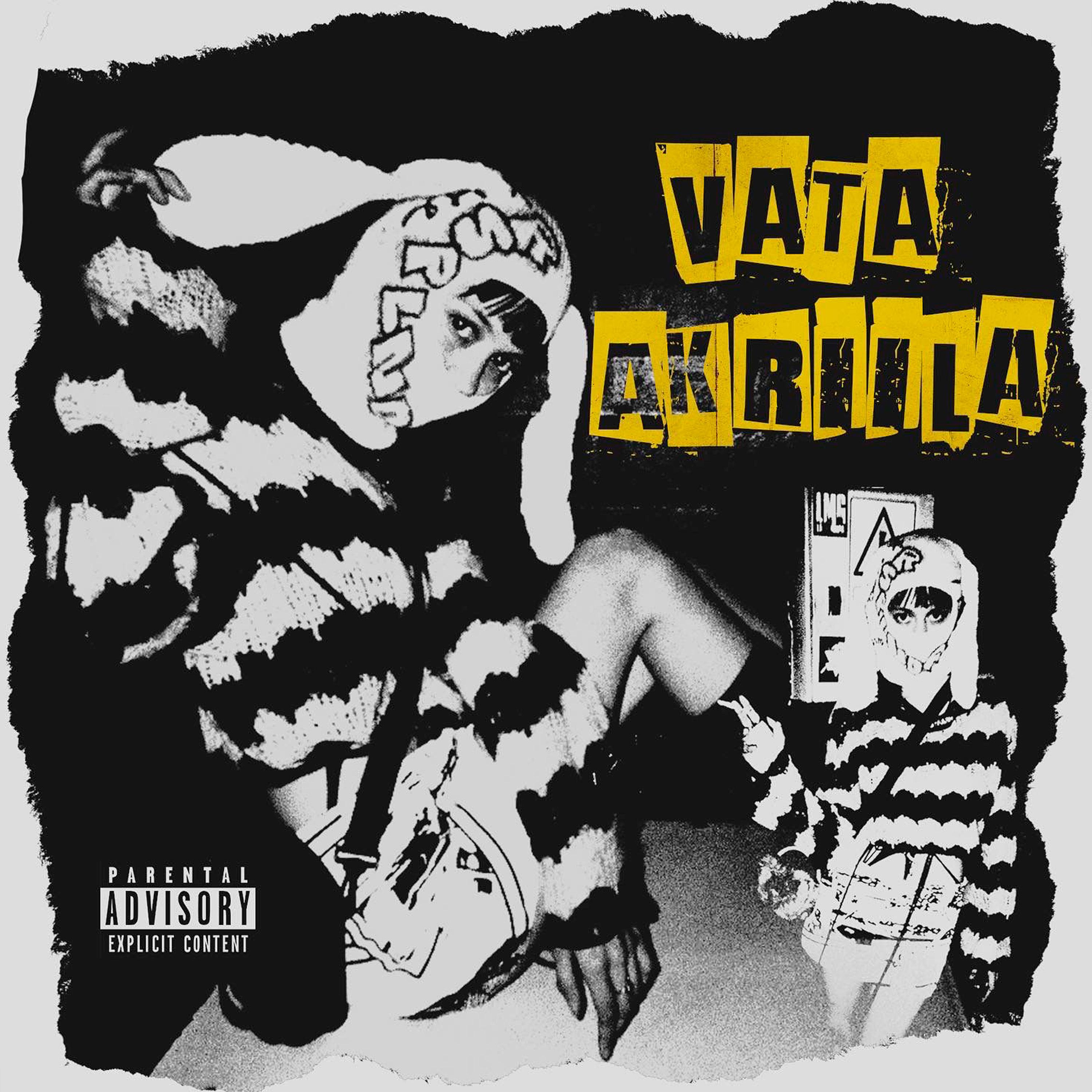 Постер альбома VATA