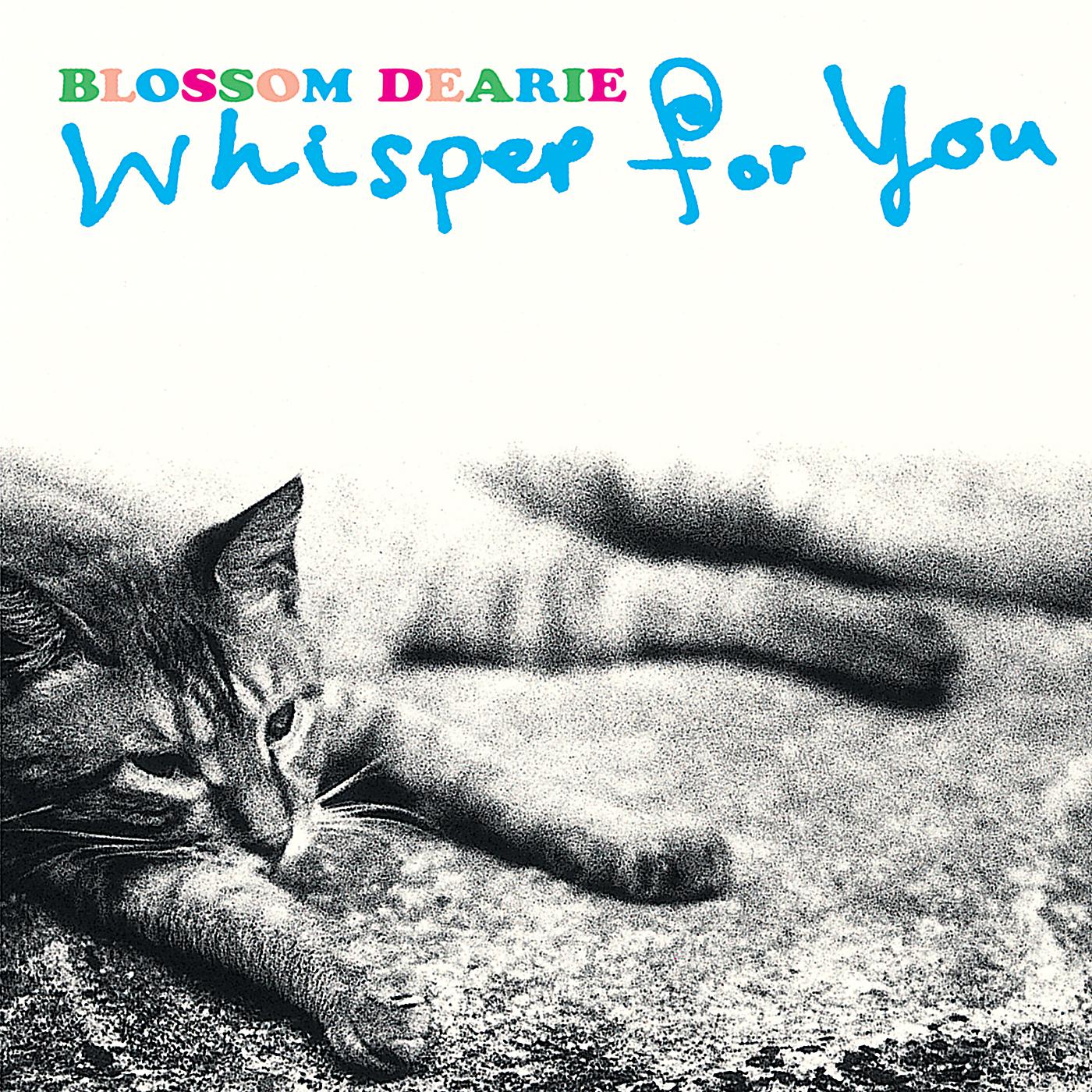 Постер альбома Whisper For You