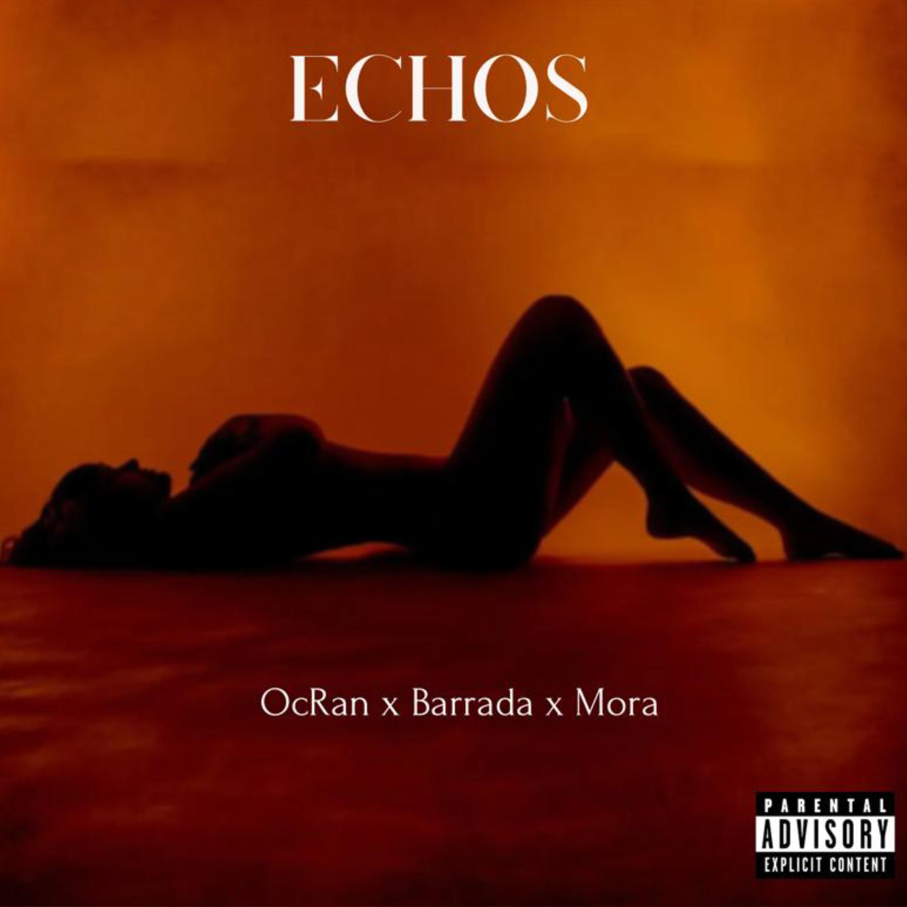 Постер альбома Echos (Sentimientos Carnales Parte II)