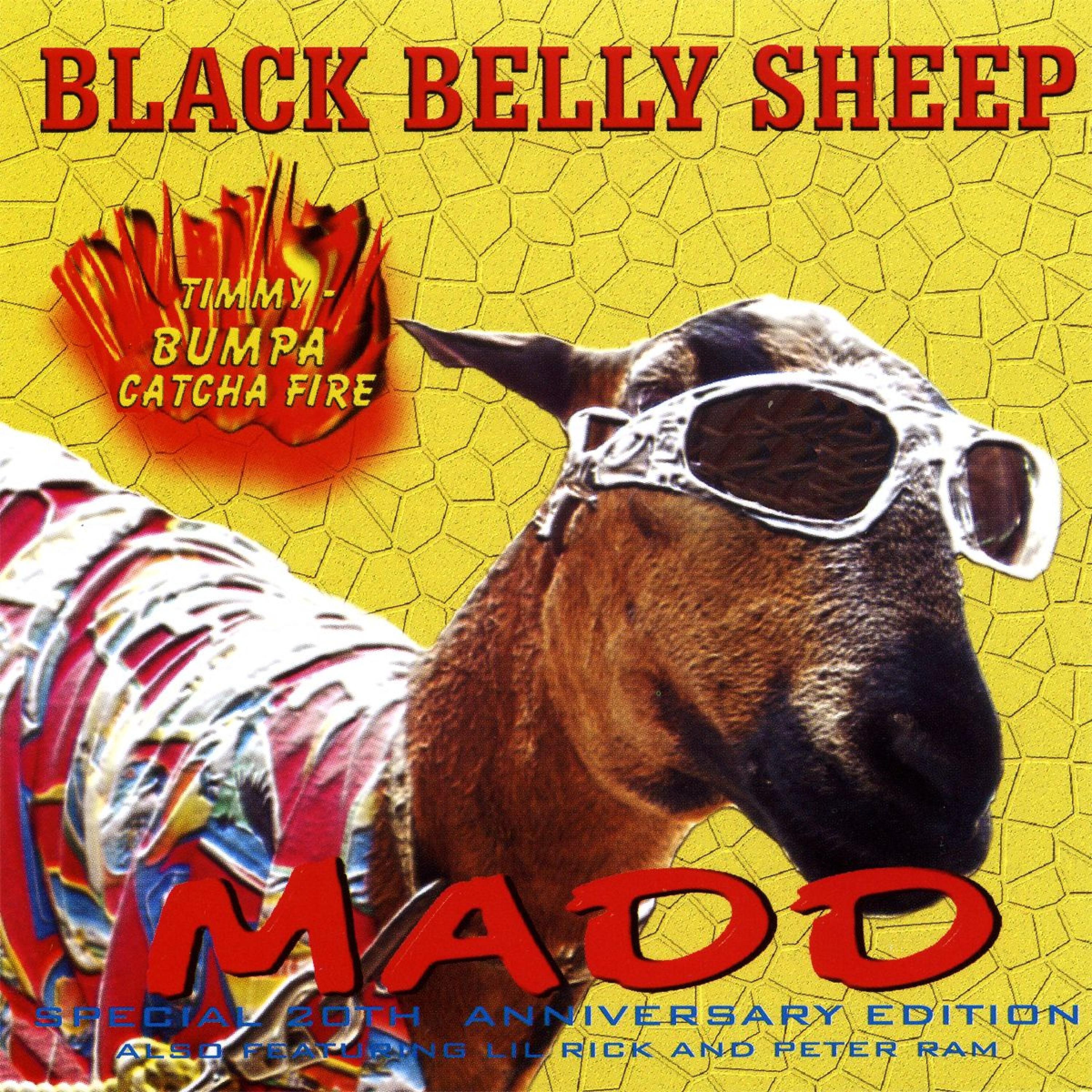 Постер альбома Black Belly Sheep