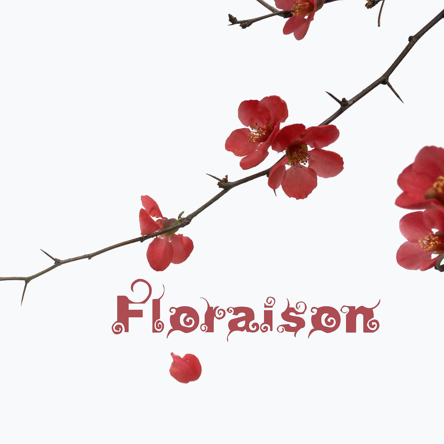 Постер альбома Floraison