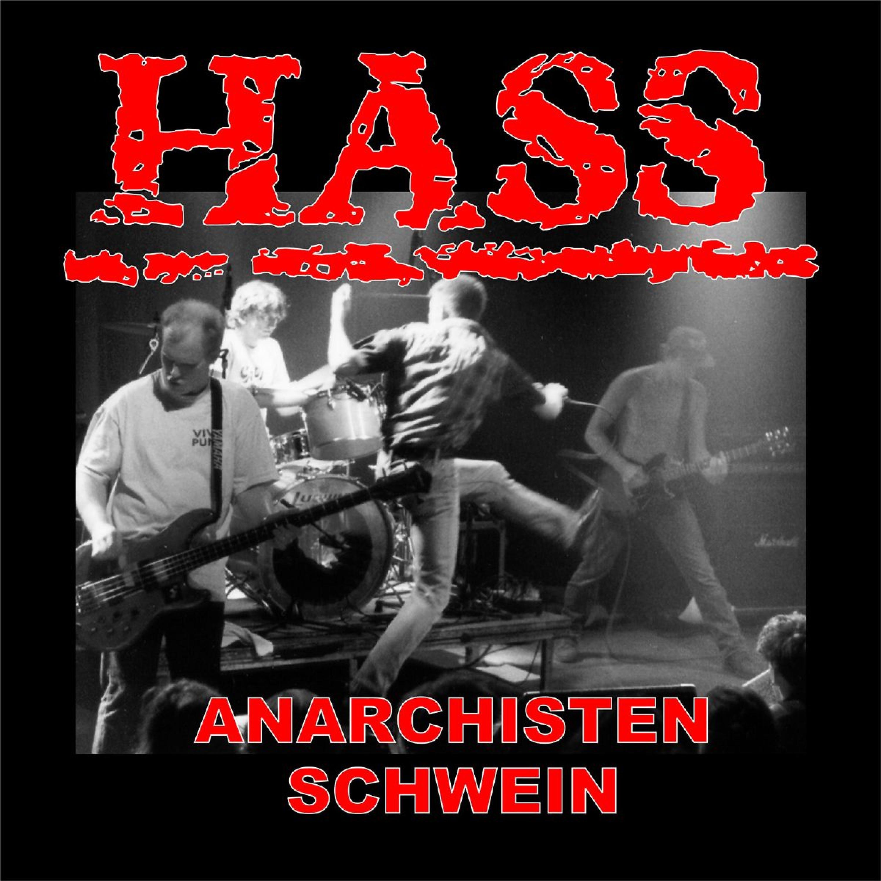 Постер альбома Anarchistenschwein