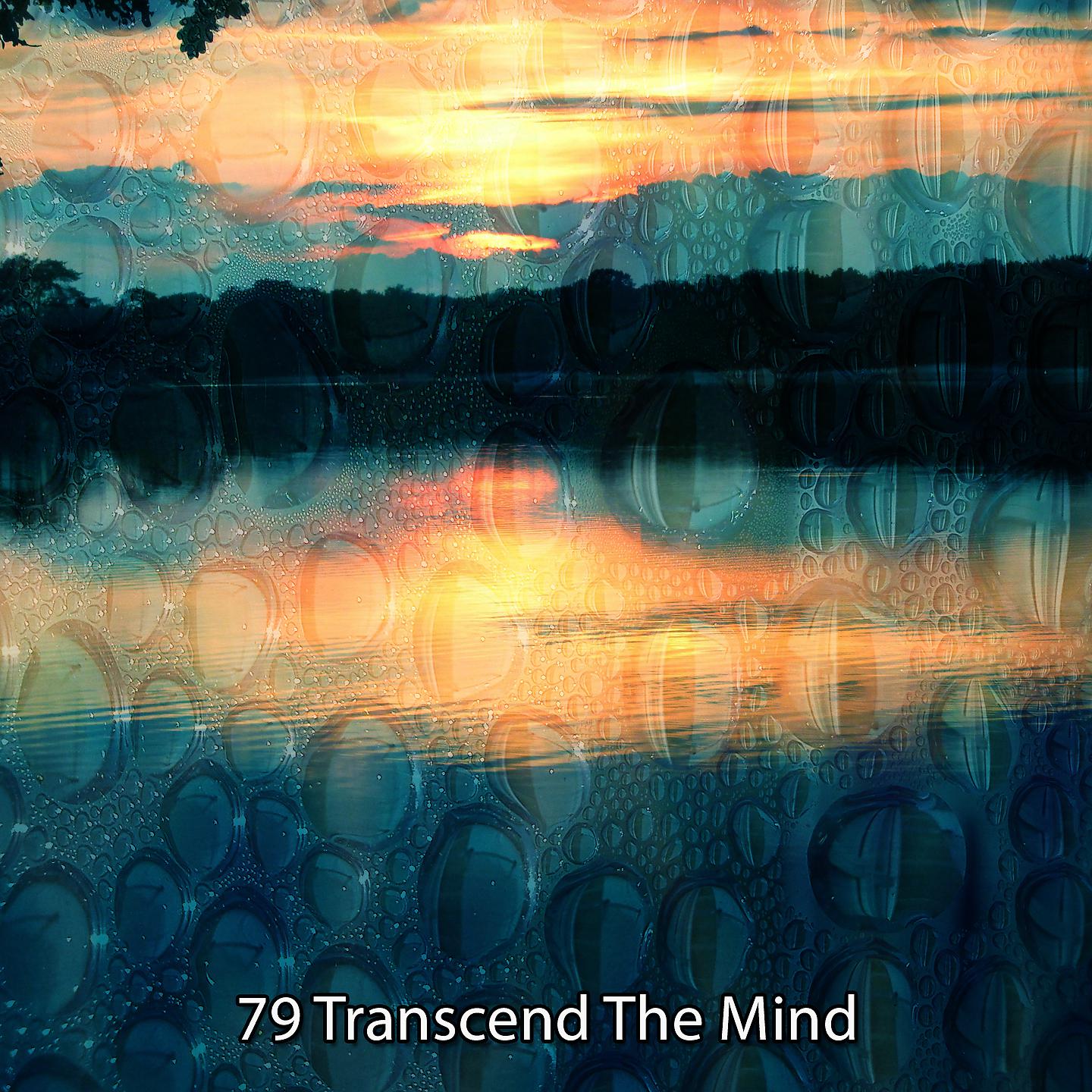 Постер альбома 79 Transcend The Mind