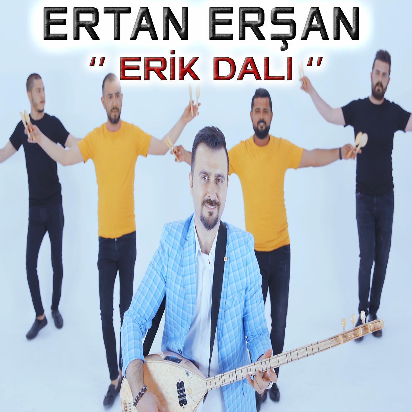 Постер альбома Erik Dalı