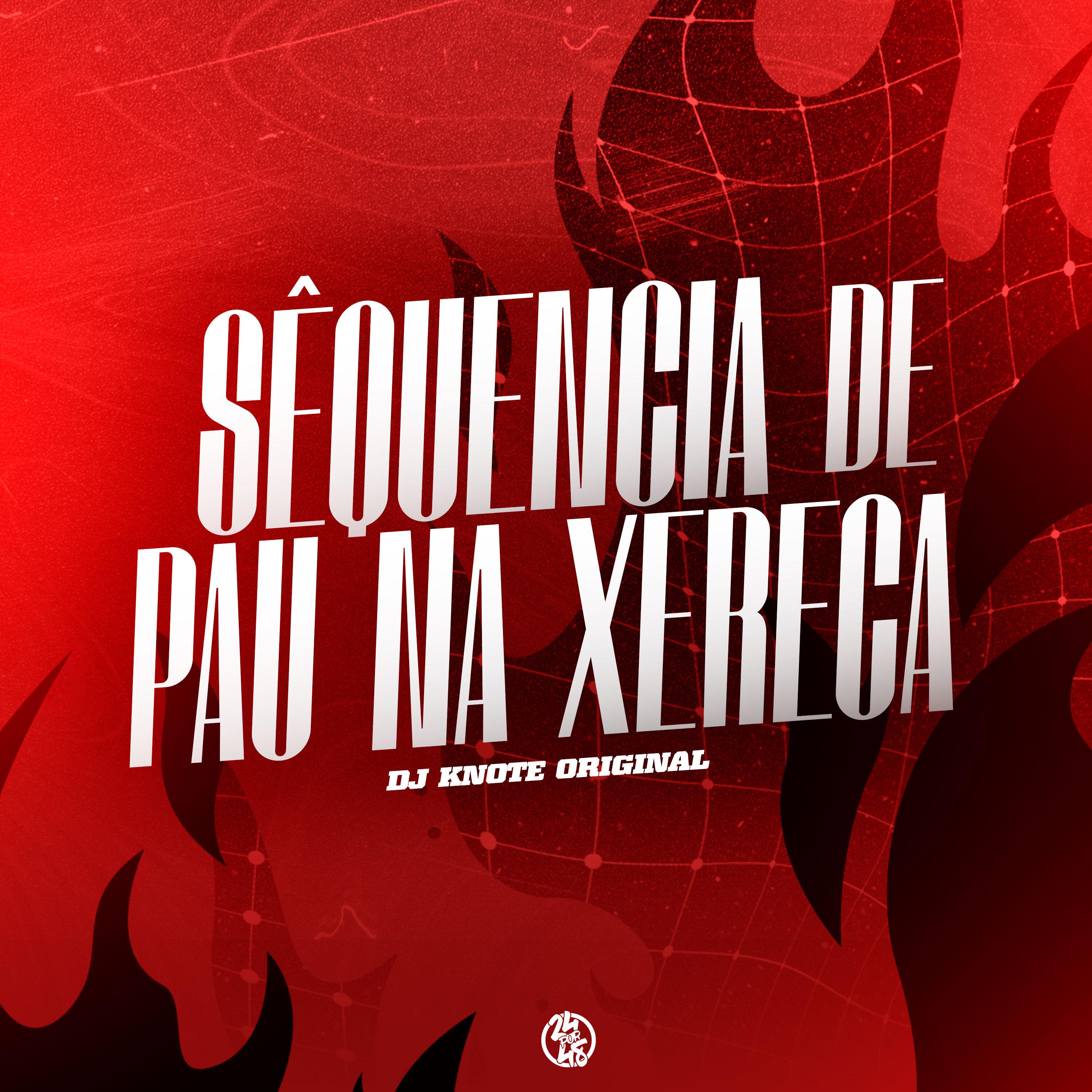 Постер альбома Sequencia de Pau na Xereca