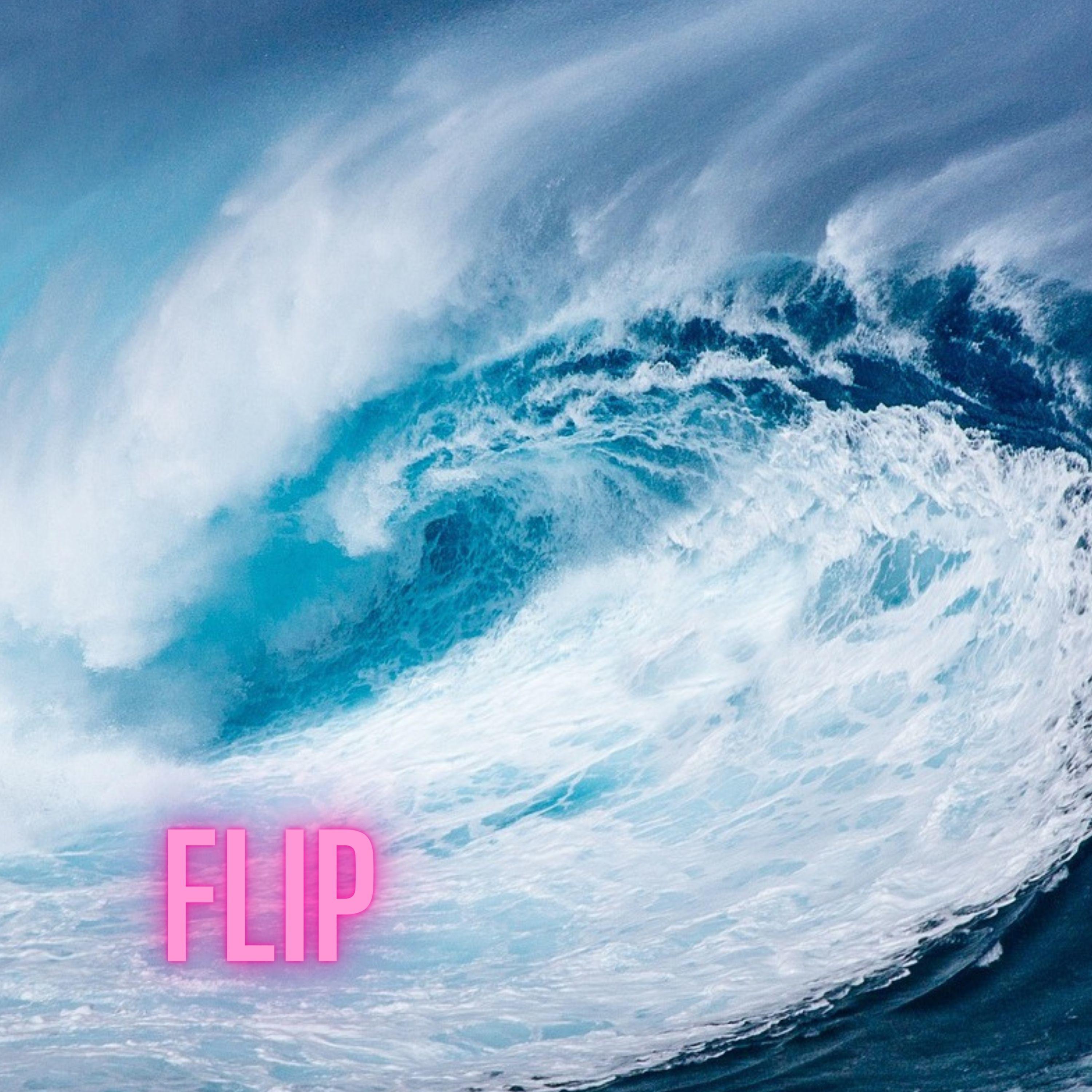 Постер альбома Flip