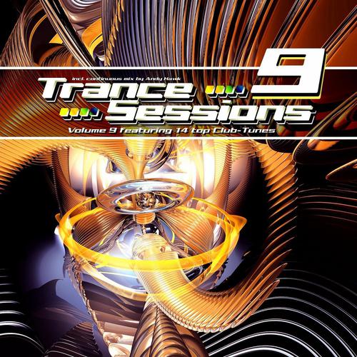 Постер альбома Drizzly Trance Sessions Vol.9