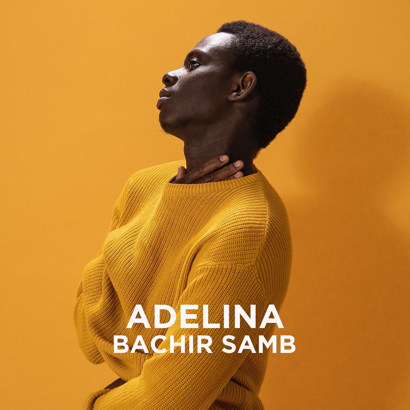 Постер альбома Adelina