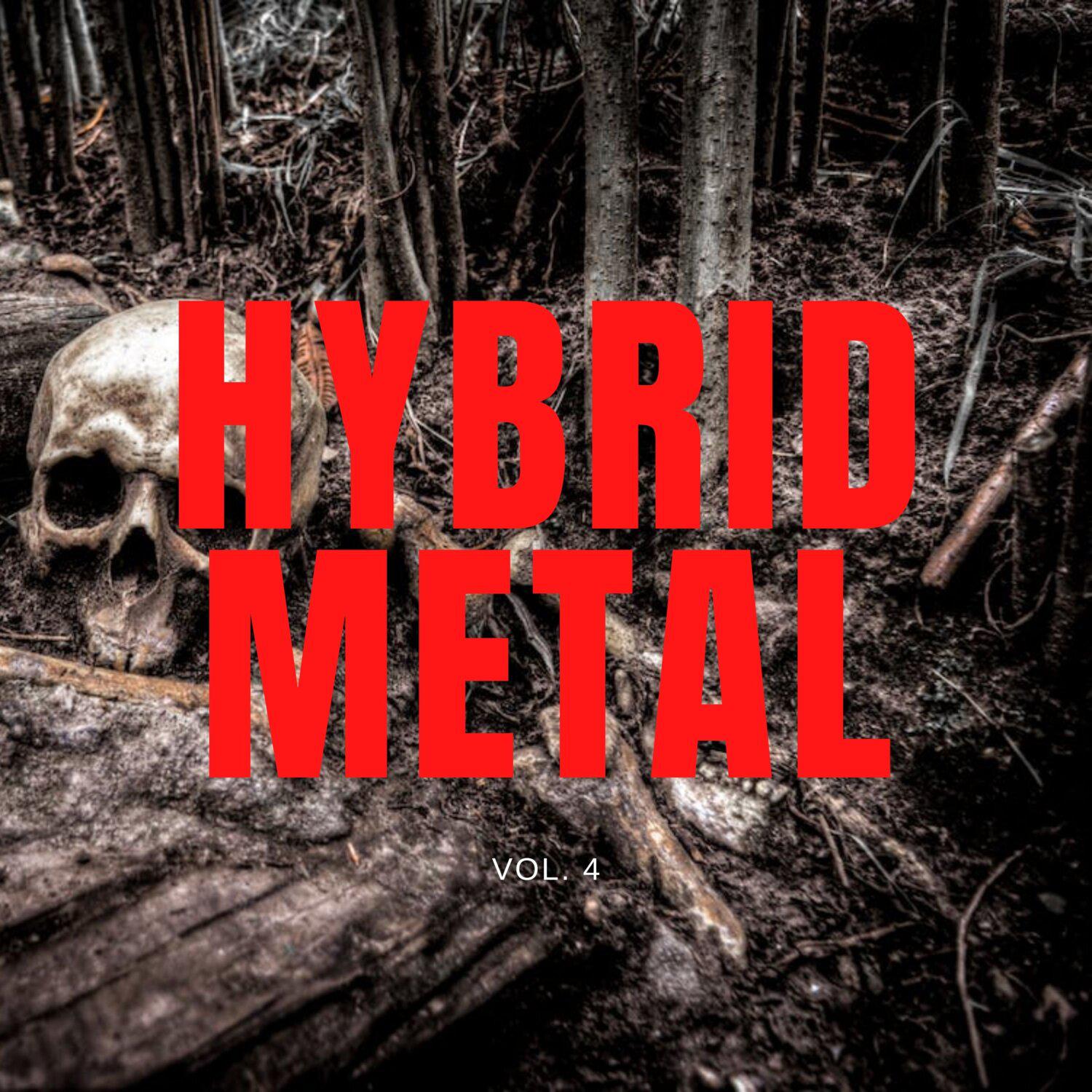 Постер альбома Hybrid Metal, Vol. 04