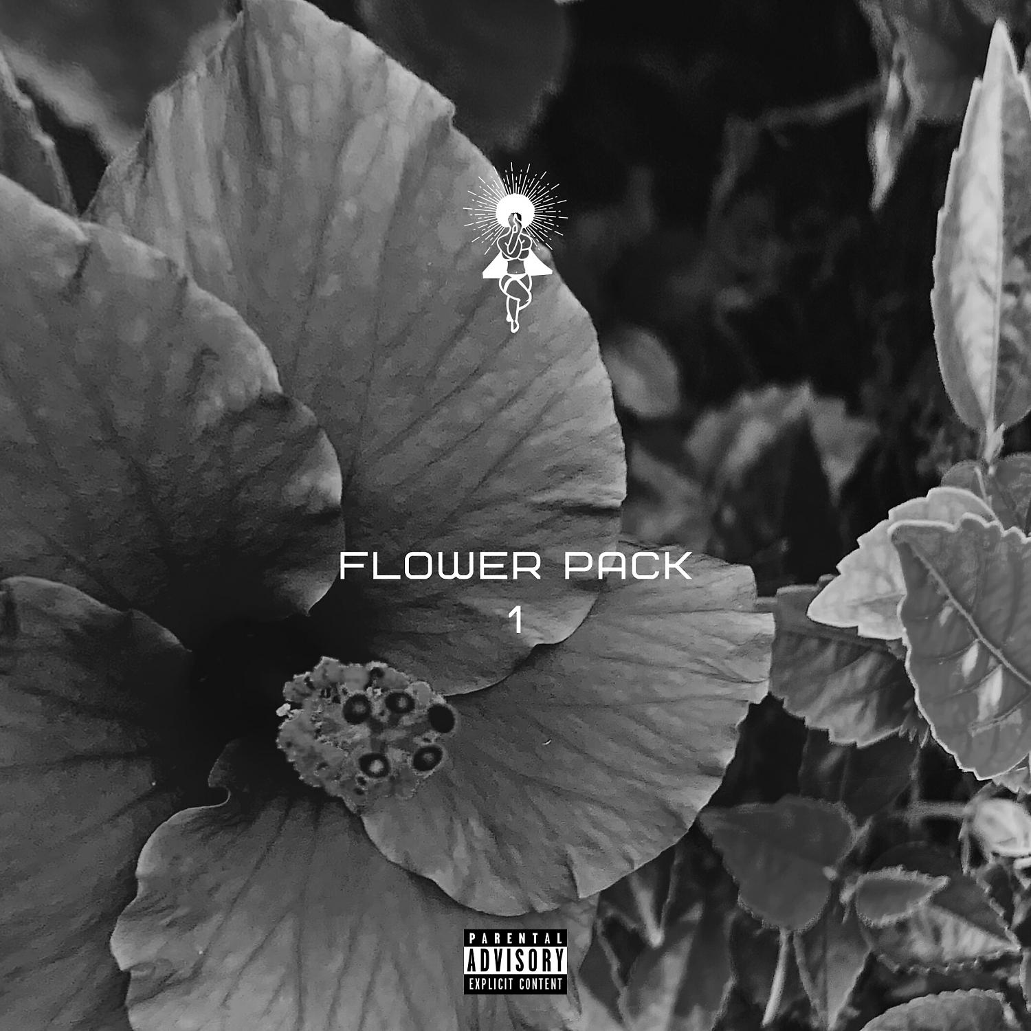 Постер альбома Flower Pack 1