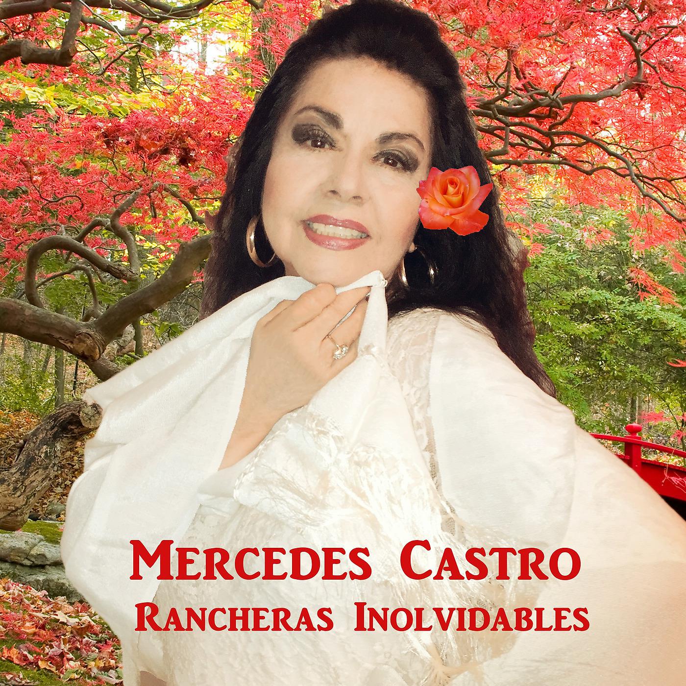 Постер альбома Rancheras Inolvidables