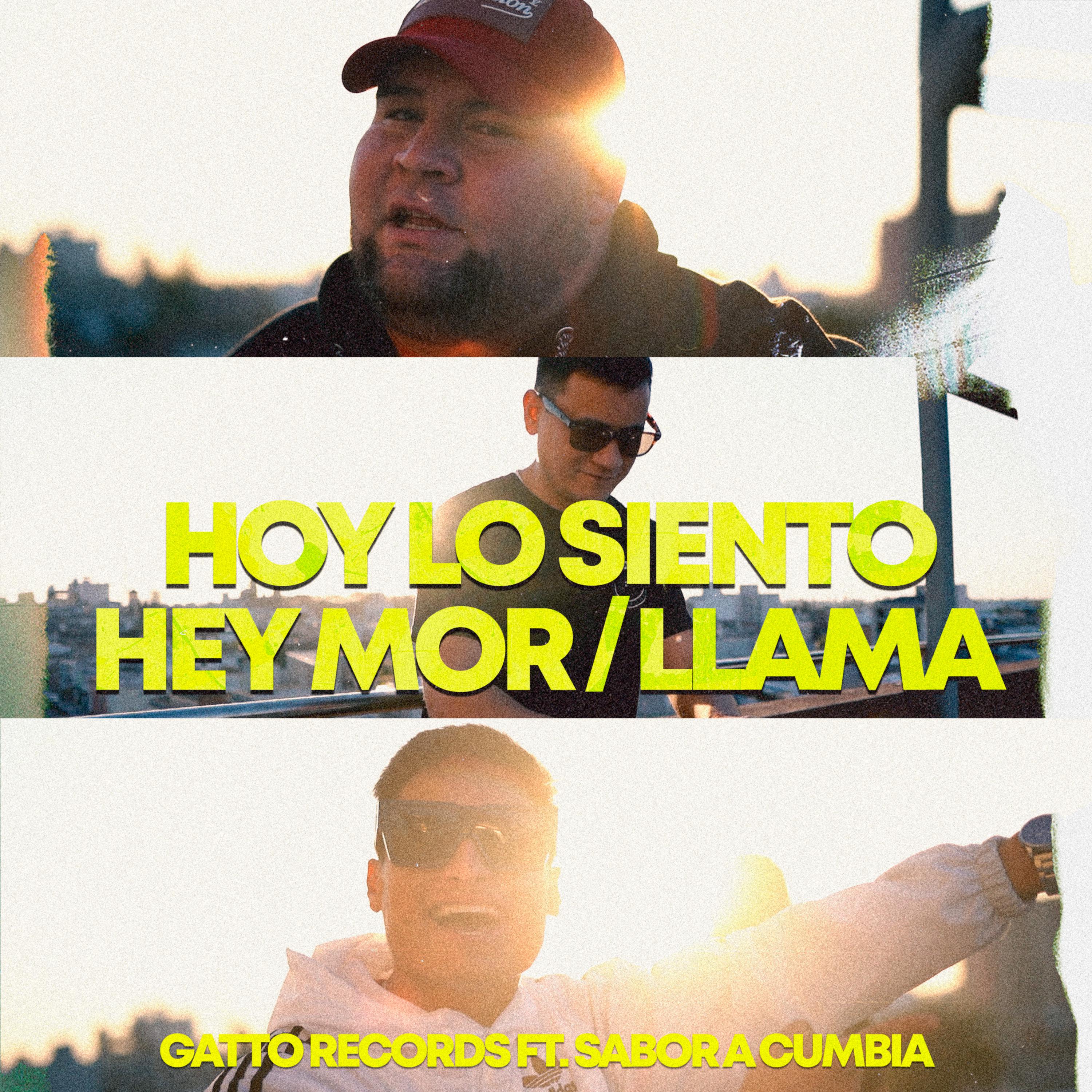 Постер альбома Hoy Lo Siento / Hey Mor / Llama