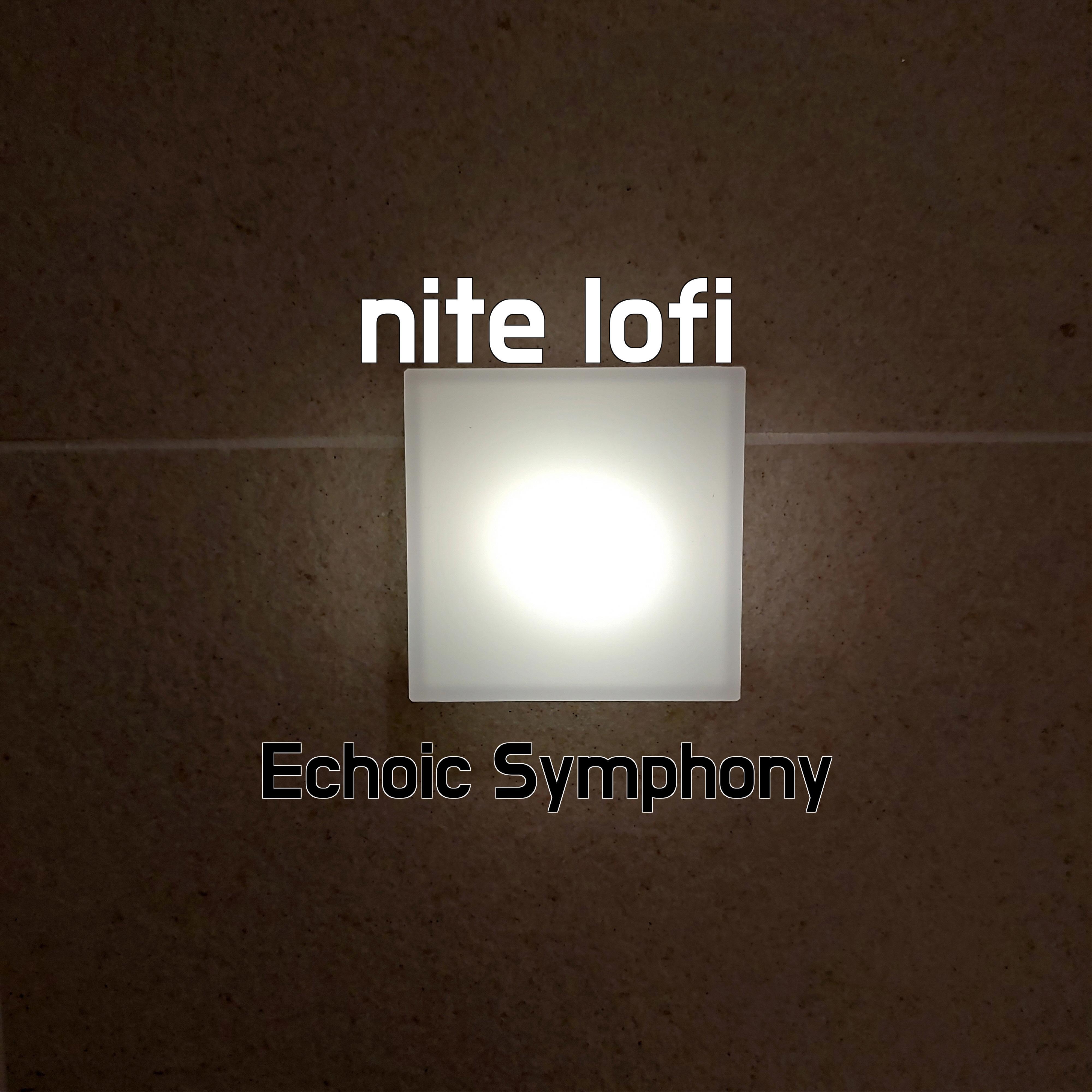 Постер альбома nite lofi